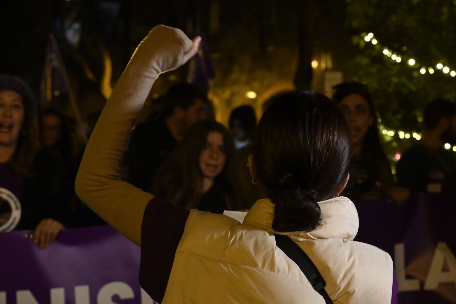 Manifestación del 25N en Imágenes.