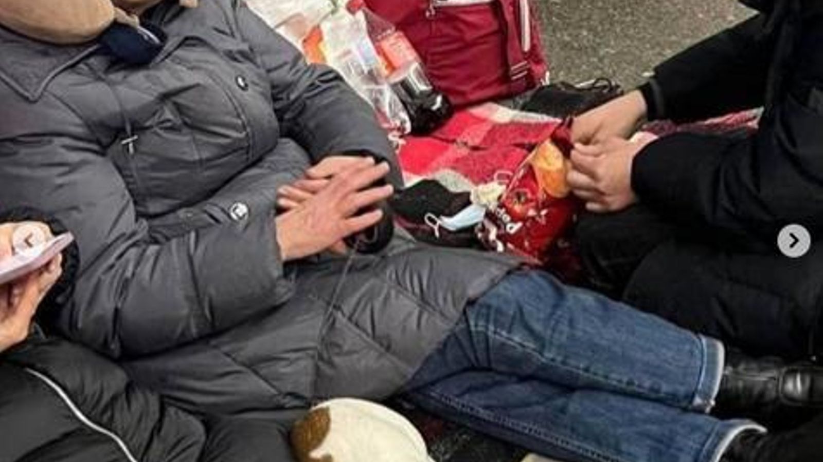 Otro perro en un metro