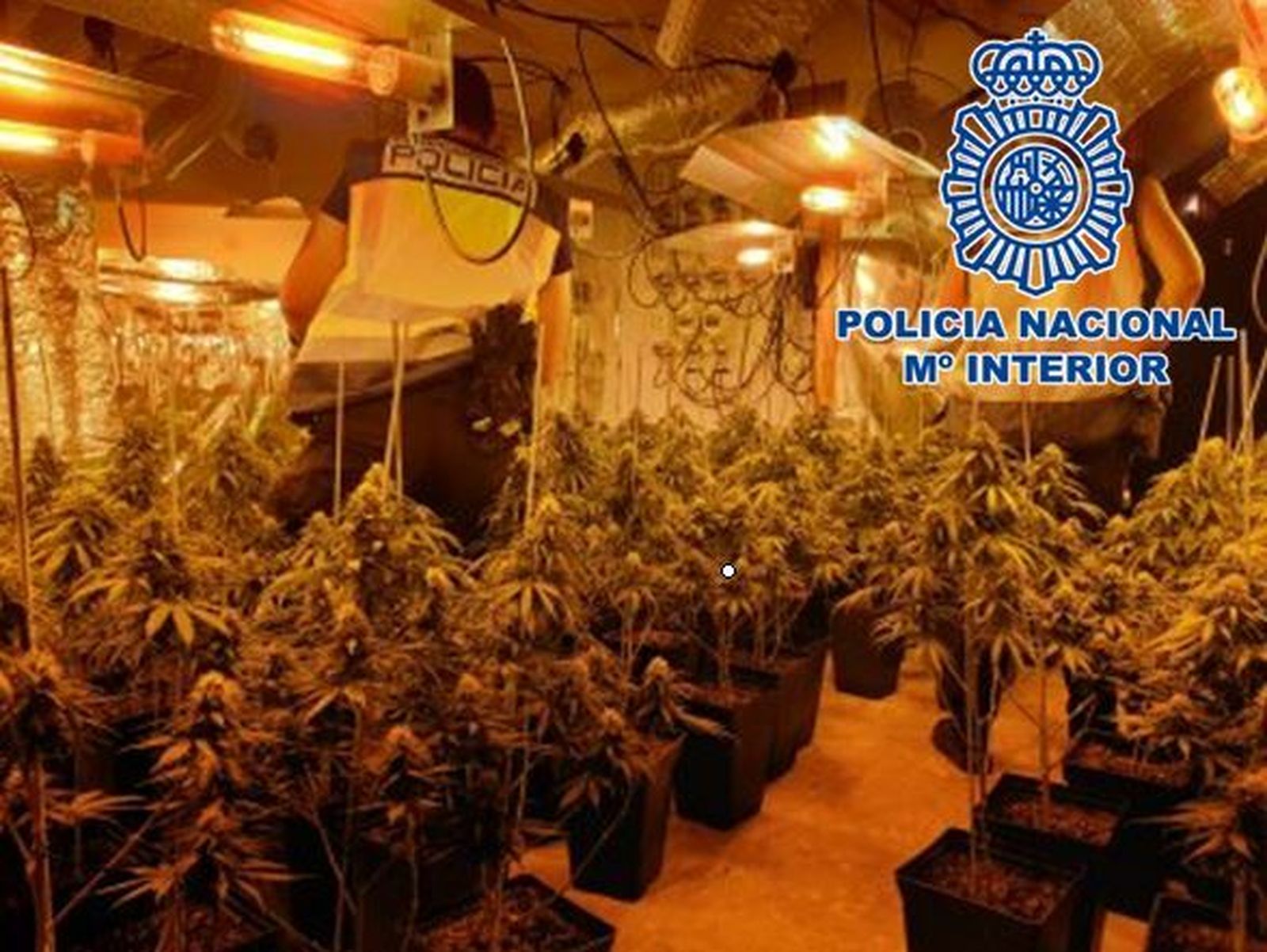 Nuevo golpe a la marihuana en  Huétor Vega y Ogíjares