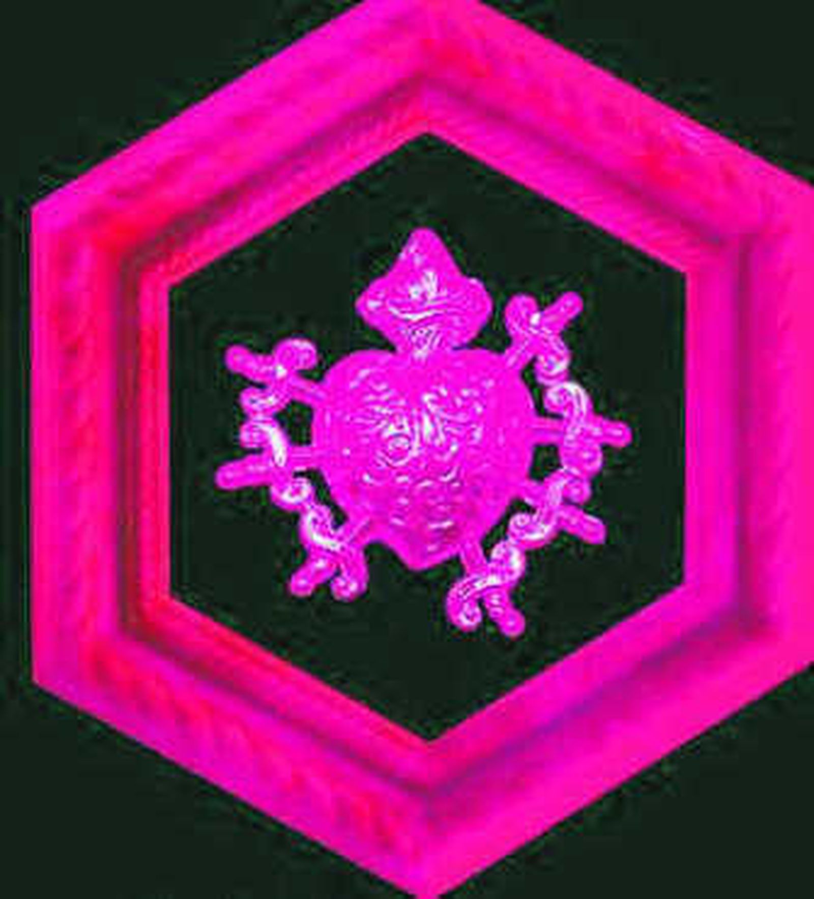 Iconografías de la Virgen María en la ciudad