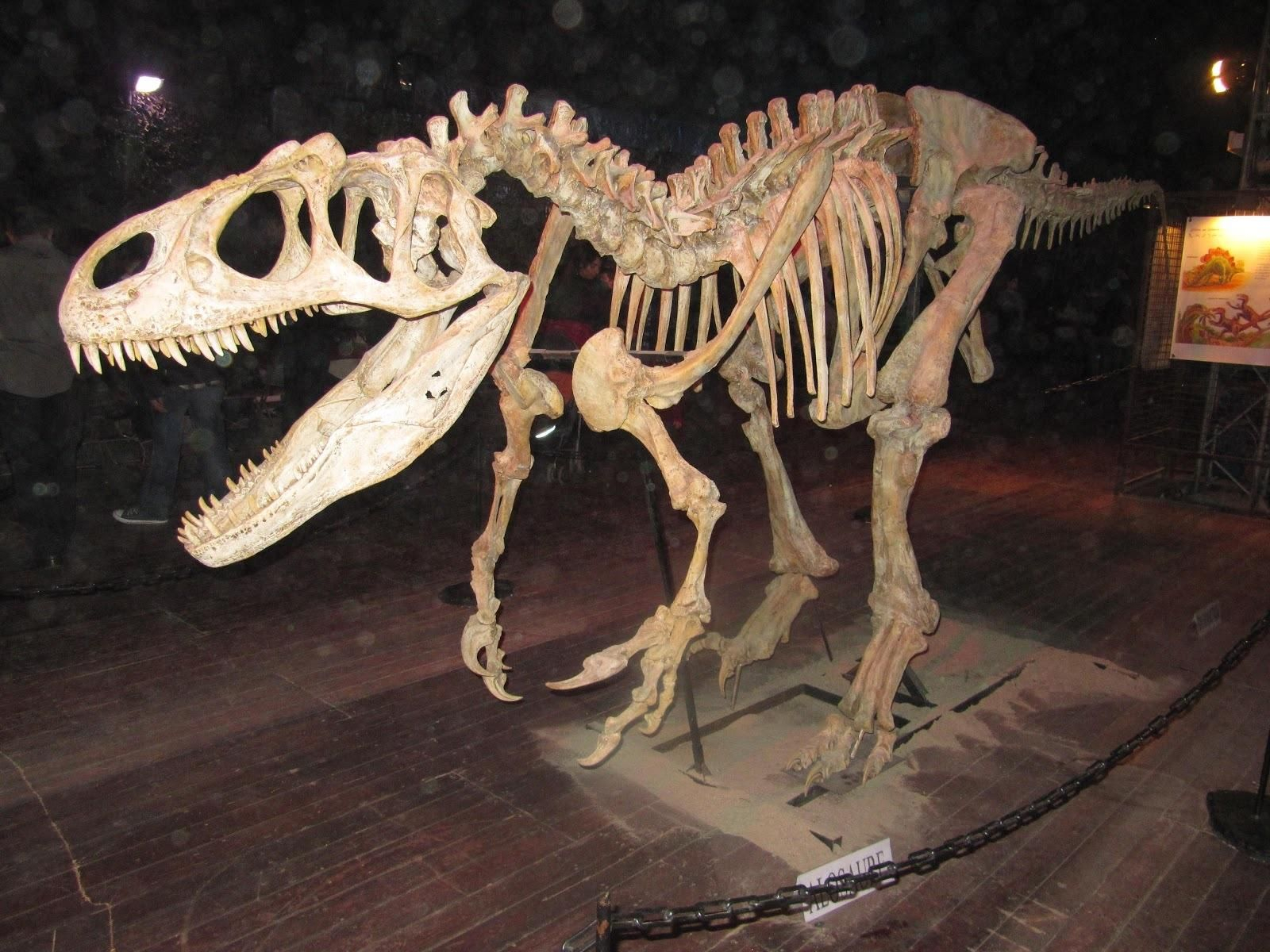 Exposición de dinosaurios en el Estadio de la Cartuja, Dino Expo XXL.