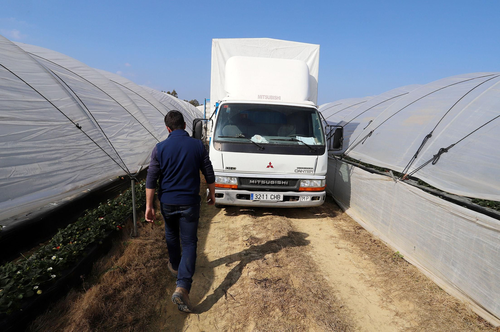 Imágenes de la realidad del trabajo en el campo