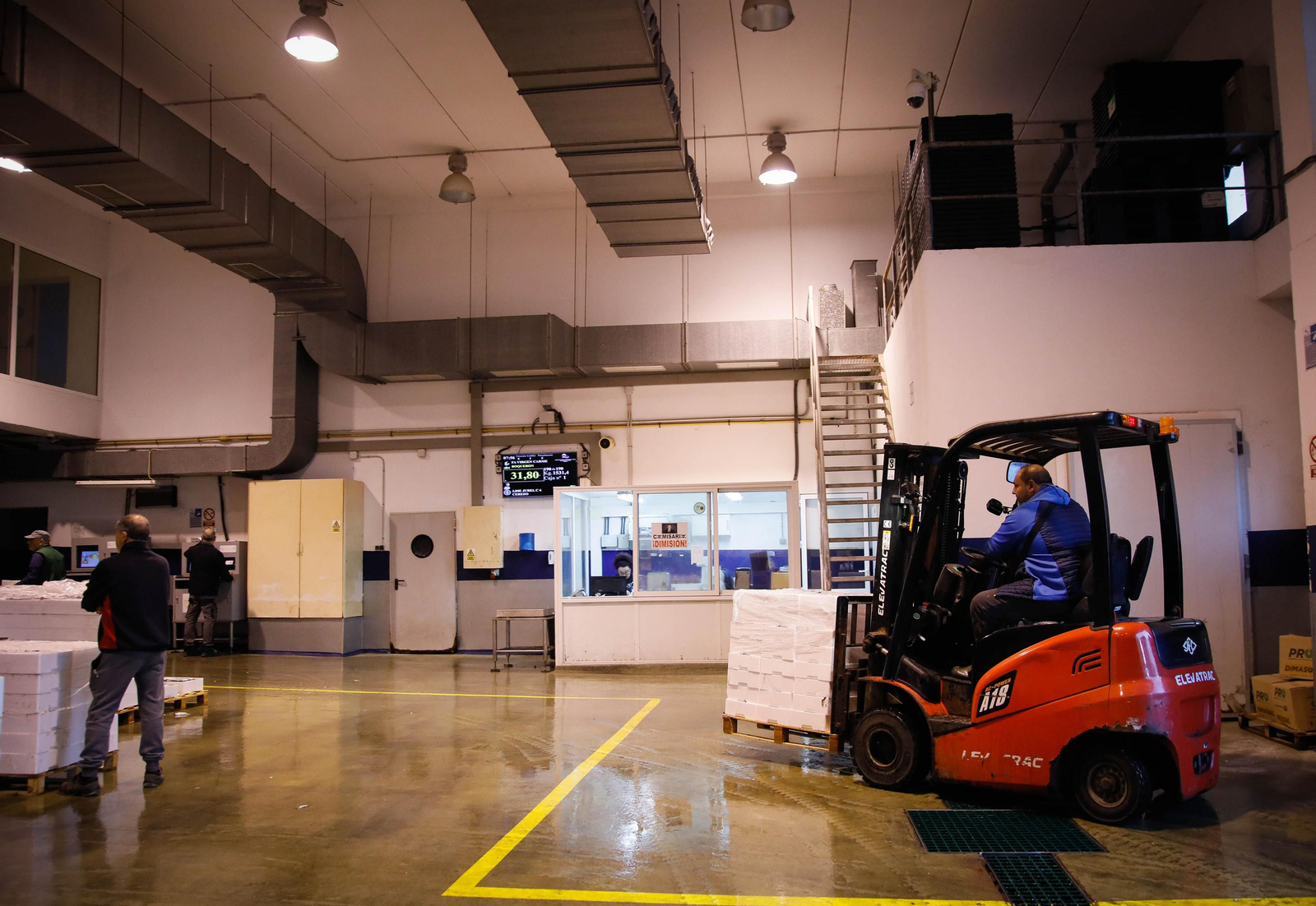 Te contamos en imágenes como ha sido la descarga de las traiñas en la lonja de Almería