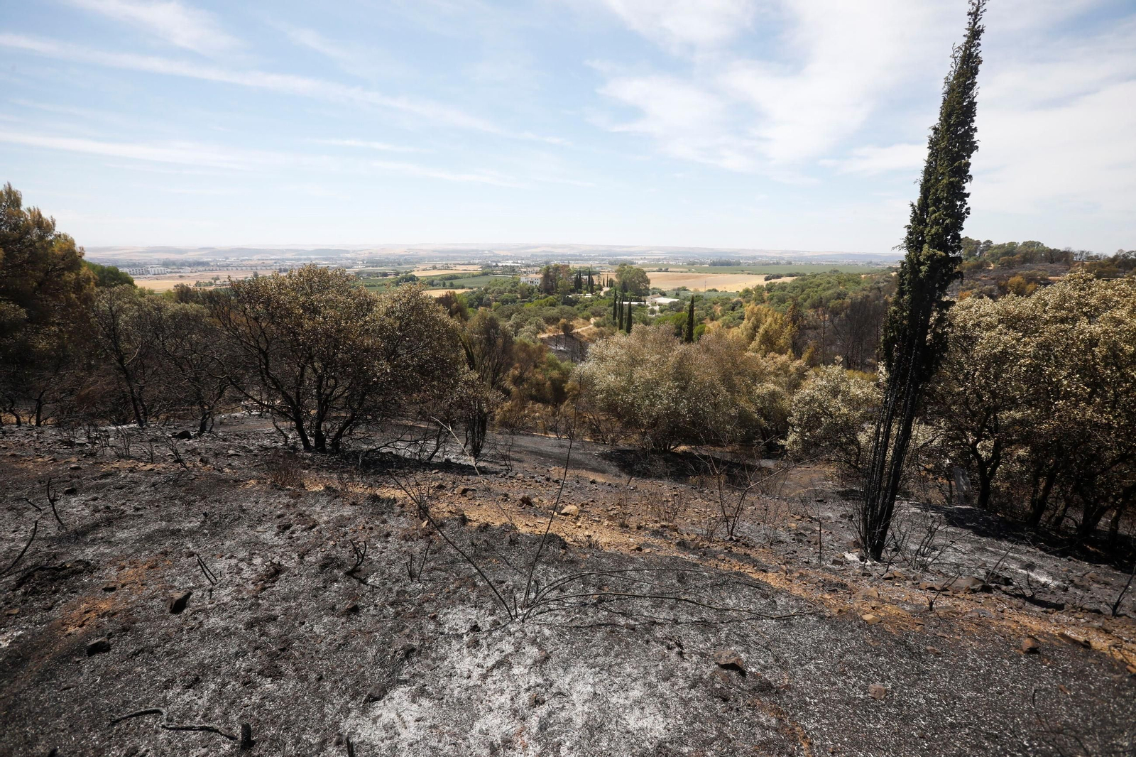 Zona cero del incendio de la Sierra de Córdoba