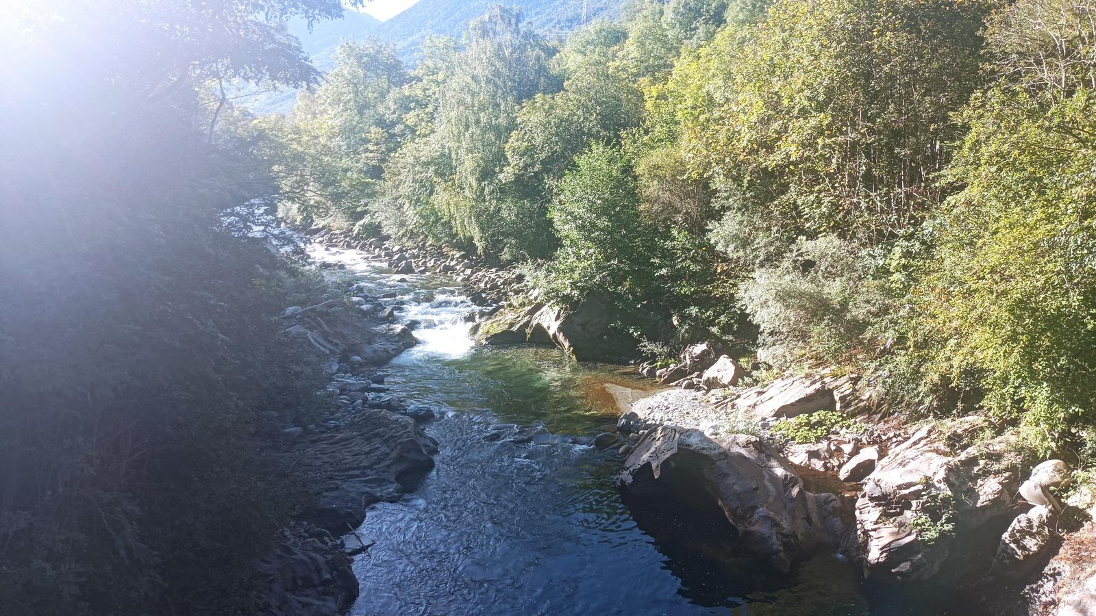 Vista del Garona desde un claro del bosque tras Bossost.