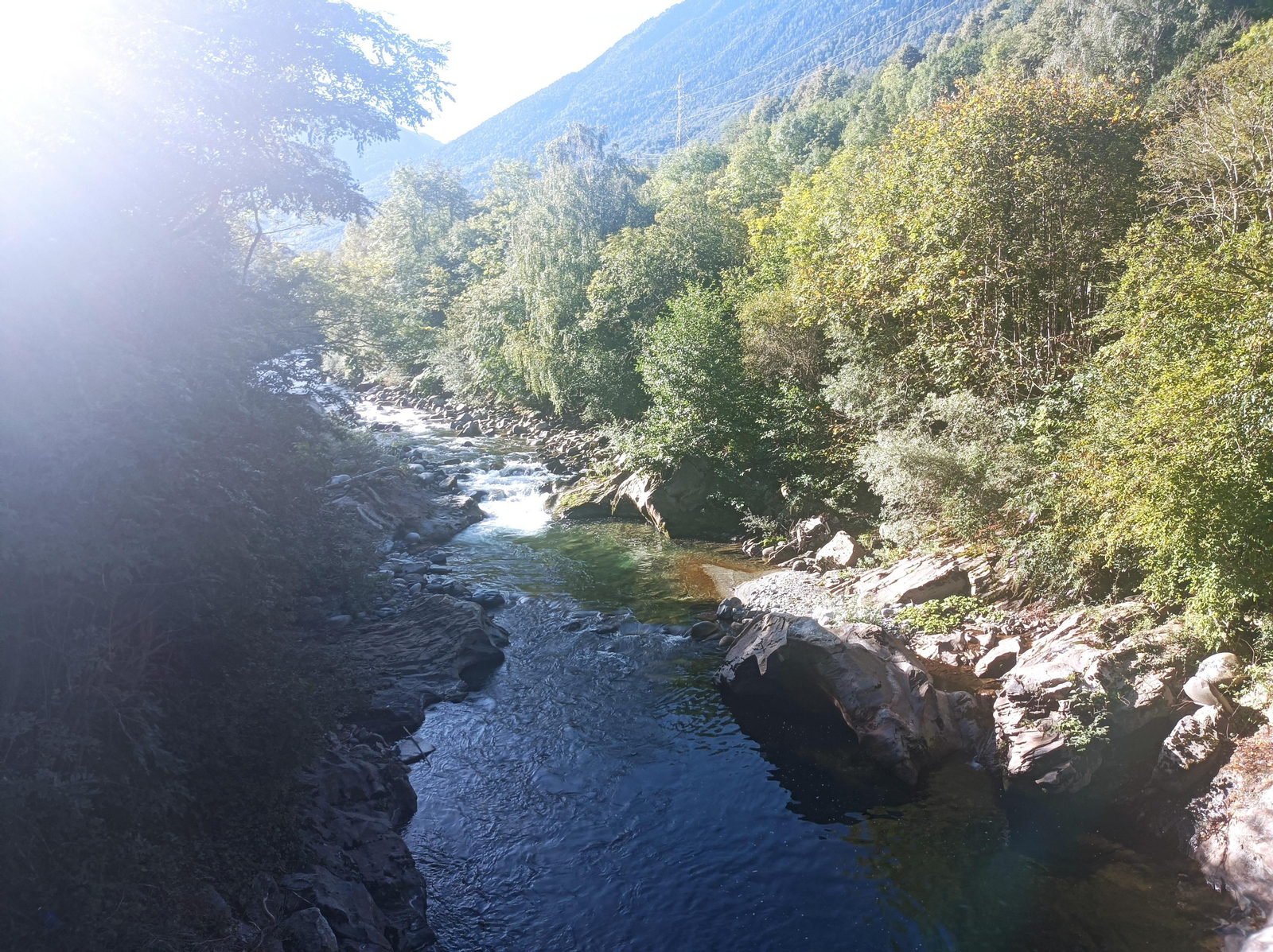 Vista del Garona desde un claro del bosque tras Bossost.