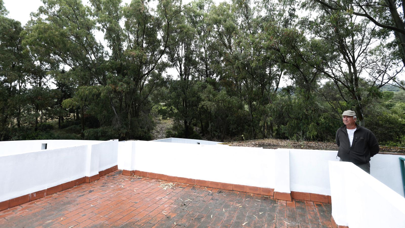 Las fotos del centro de carga de ganado vacuno en Los Barrios