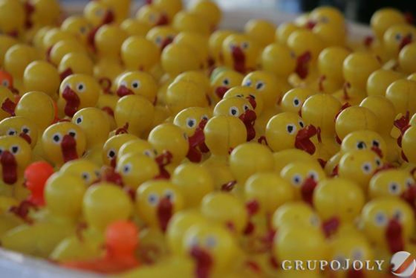 Foto: J.M.Q. / Erasmo Fenoy