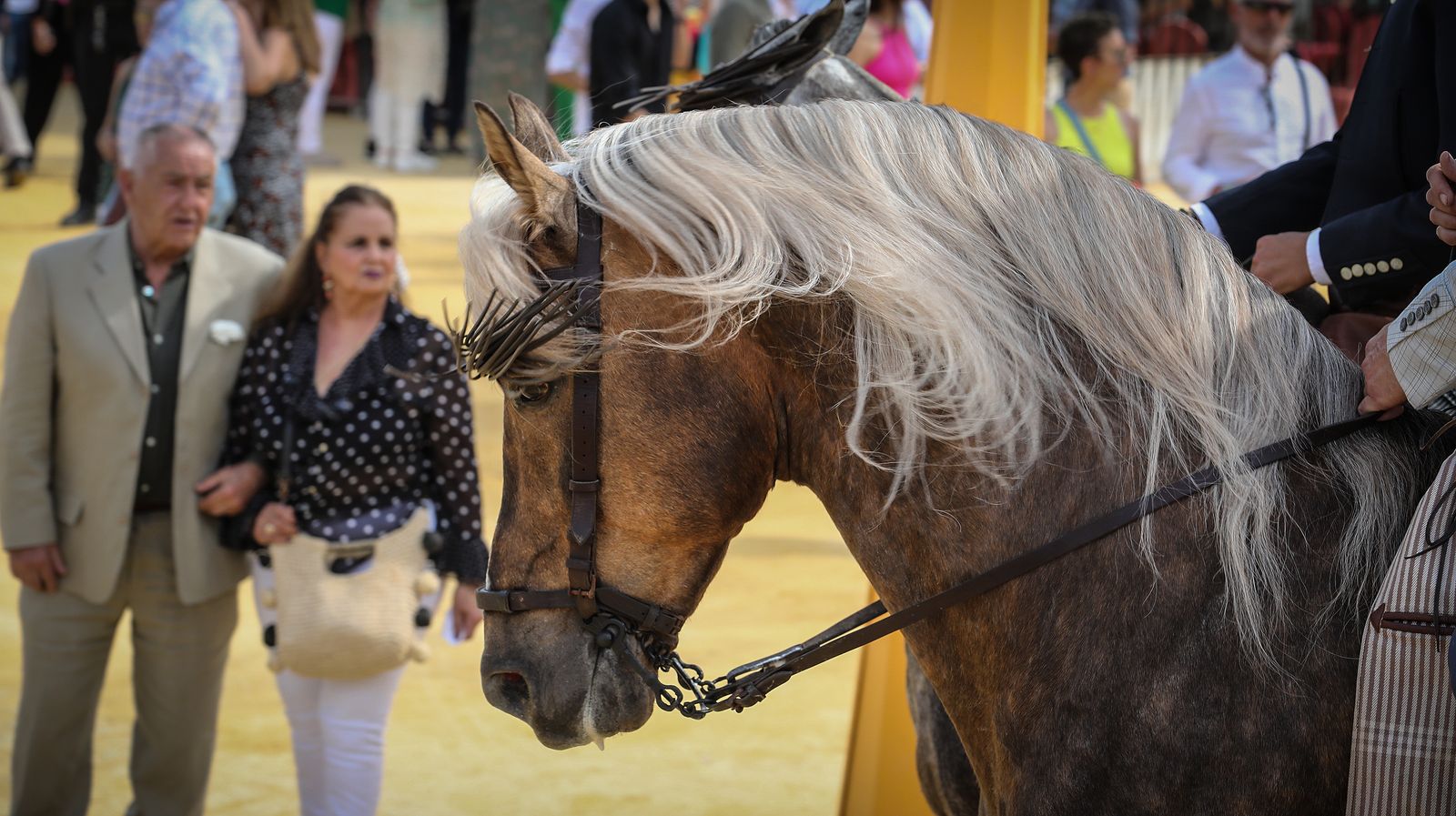 Imágenes del Jueves de Feria