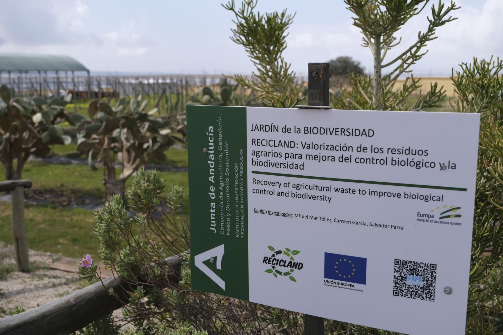 Fotogalería presentación proyecto RECICLAND IFAPA. La Mojonera (Almería)
