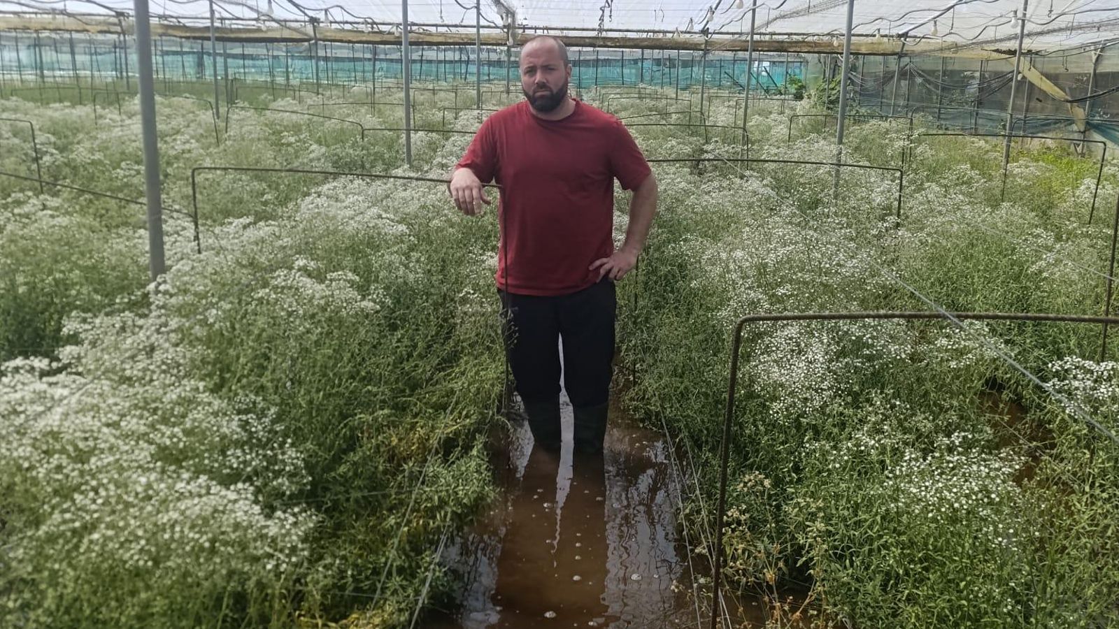 Jesús, agricultor, muestra el estado de inundación de uno de sus cultivos.