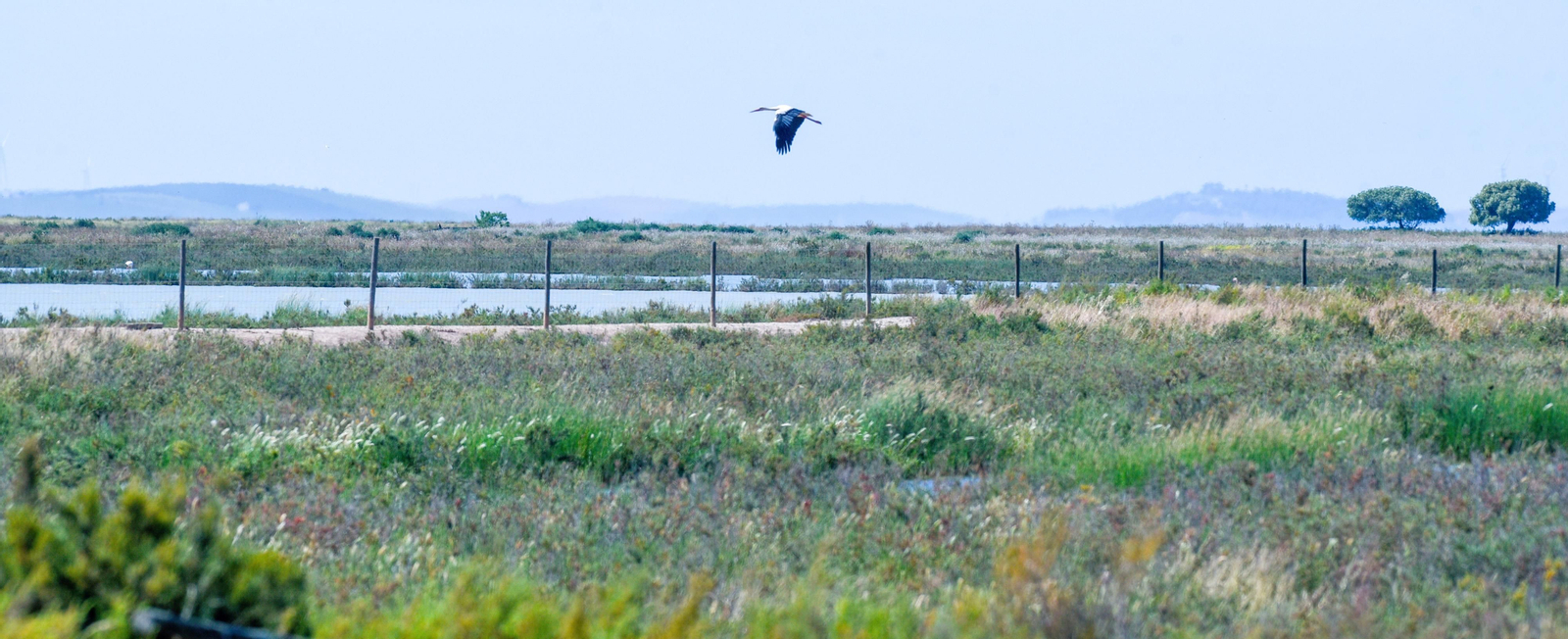 Imágenes de la finca Veta la Palma