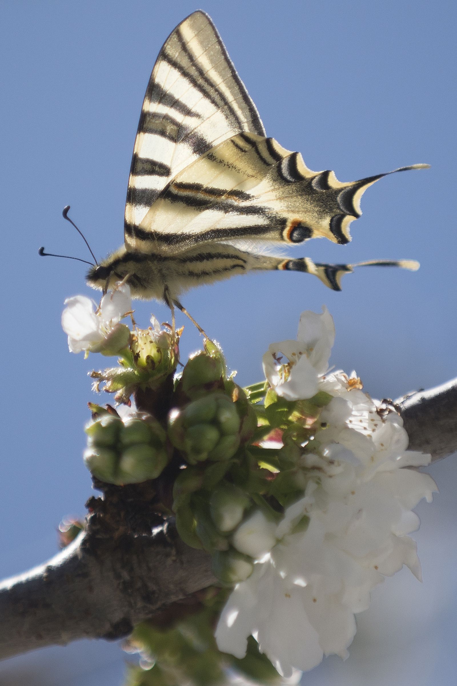 La primavera deja ver su paleta de color