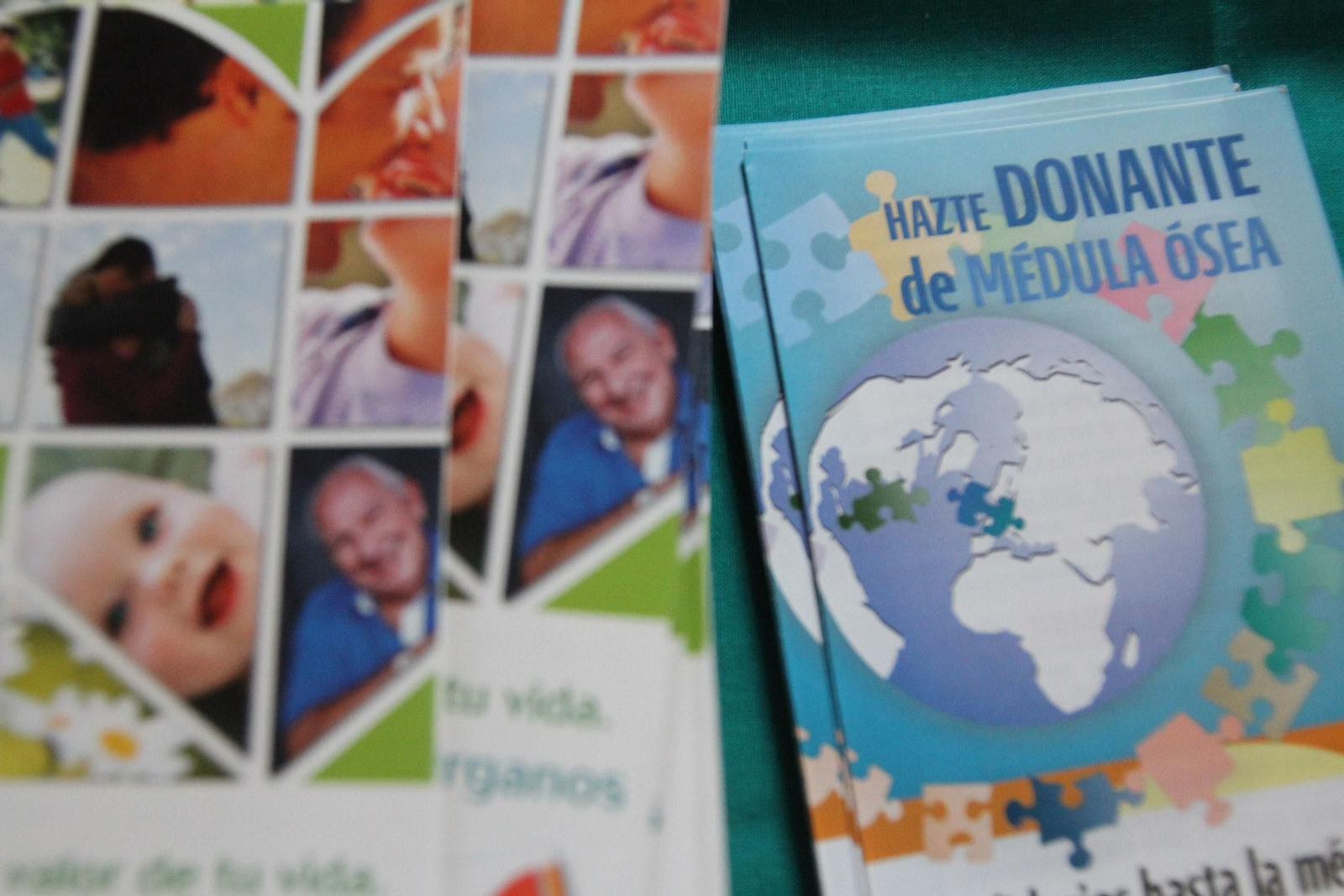 Macrocolecta de sangre en la Casa Colón