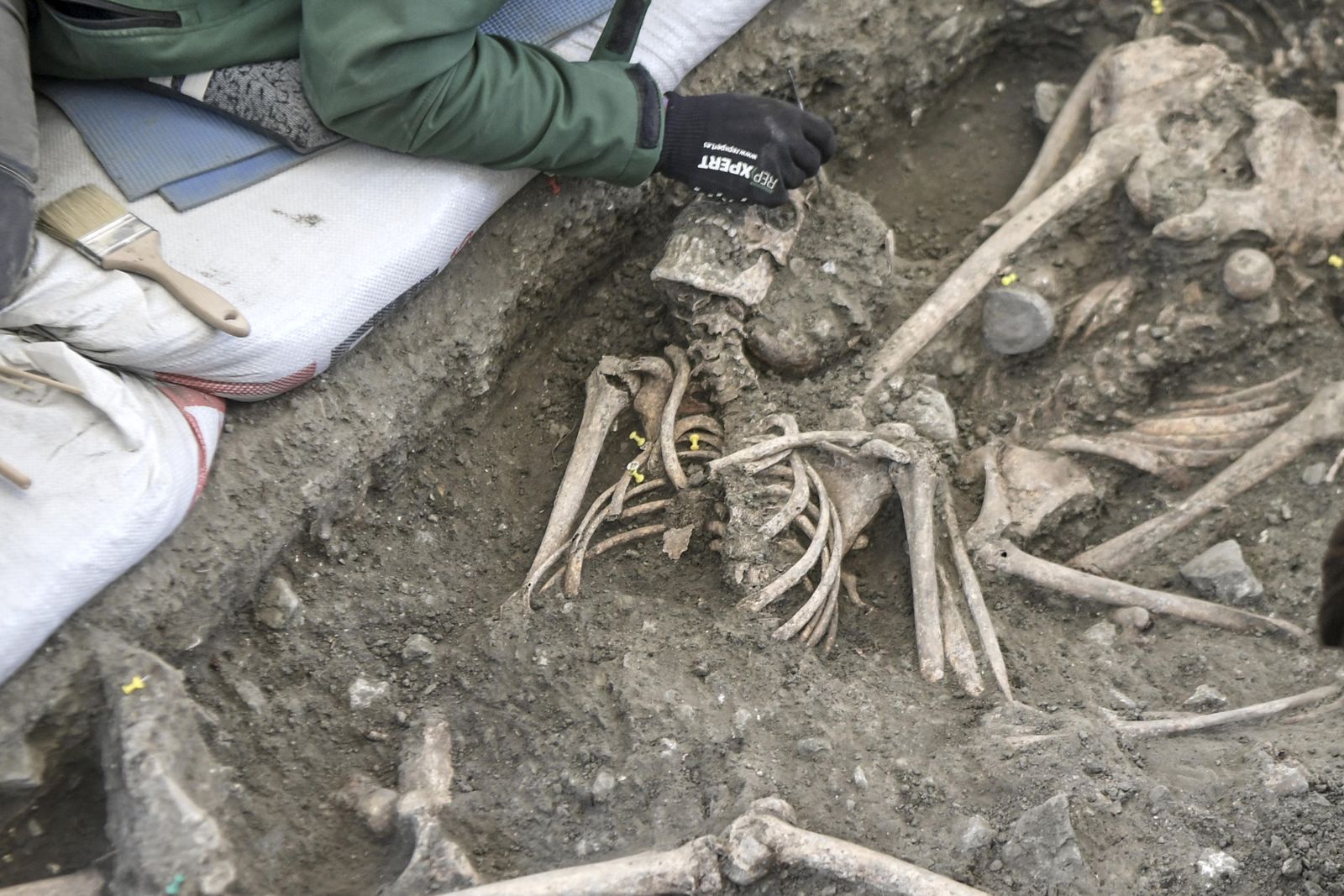 La tercera campaña de exhumaciones en el Barranco de Víznar, en imágenes