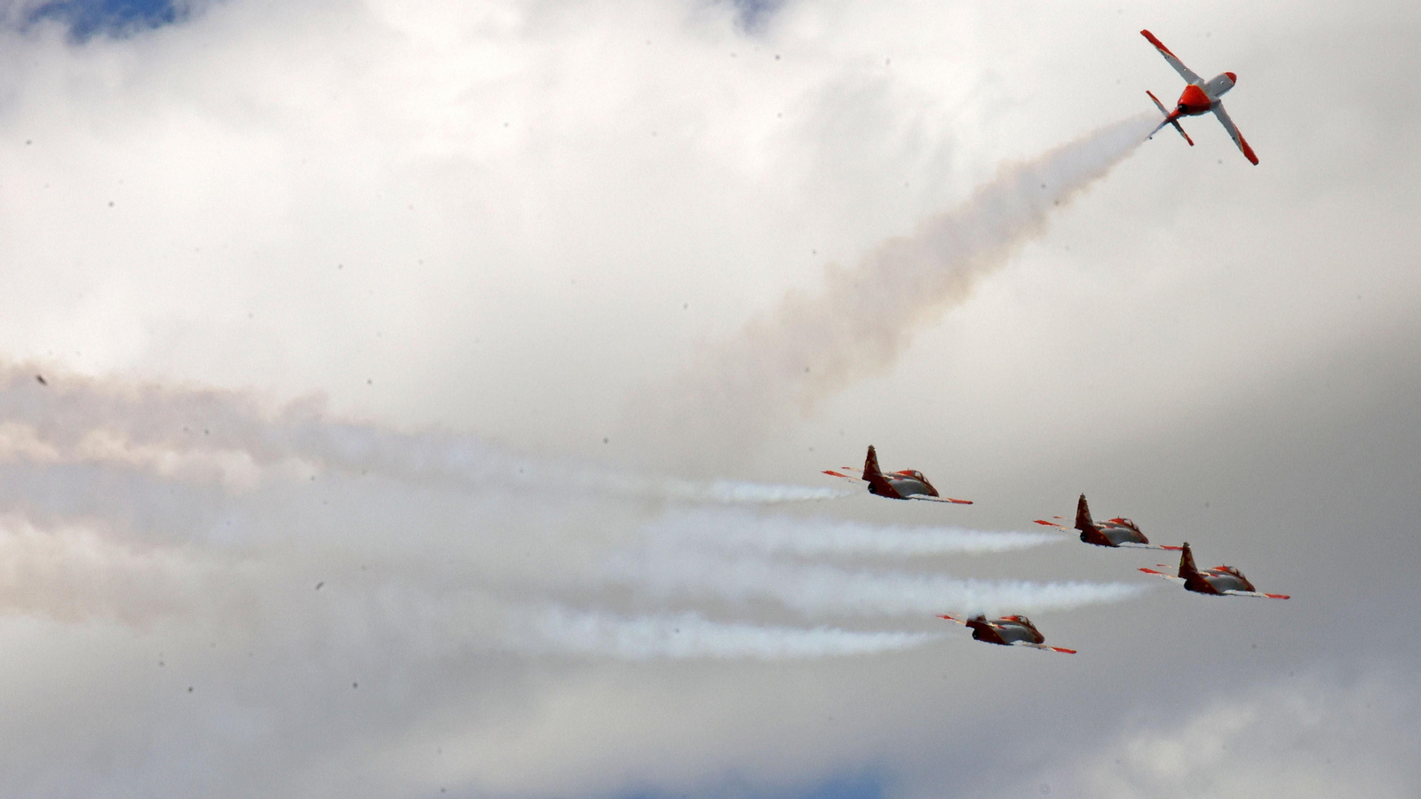 Imágenes del gran ambiente el domingo de carreras MotoGP en el Circuito de Jerez