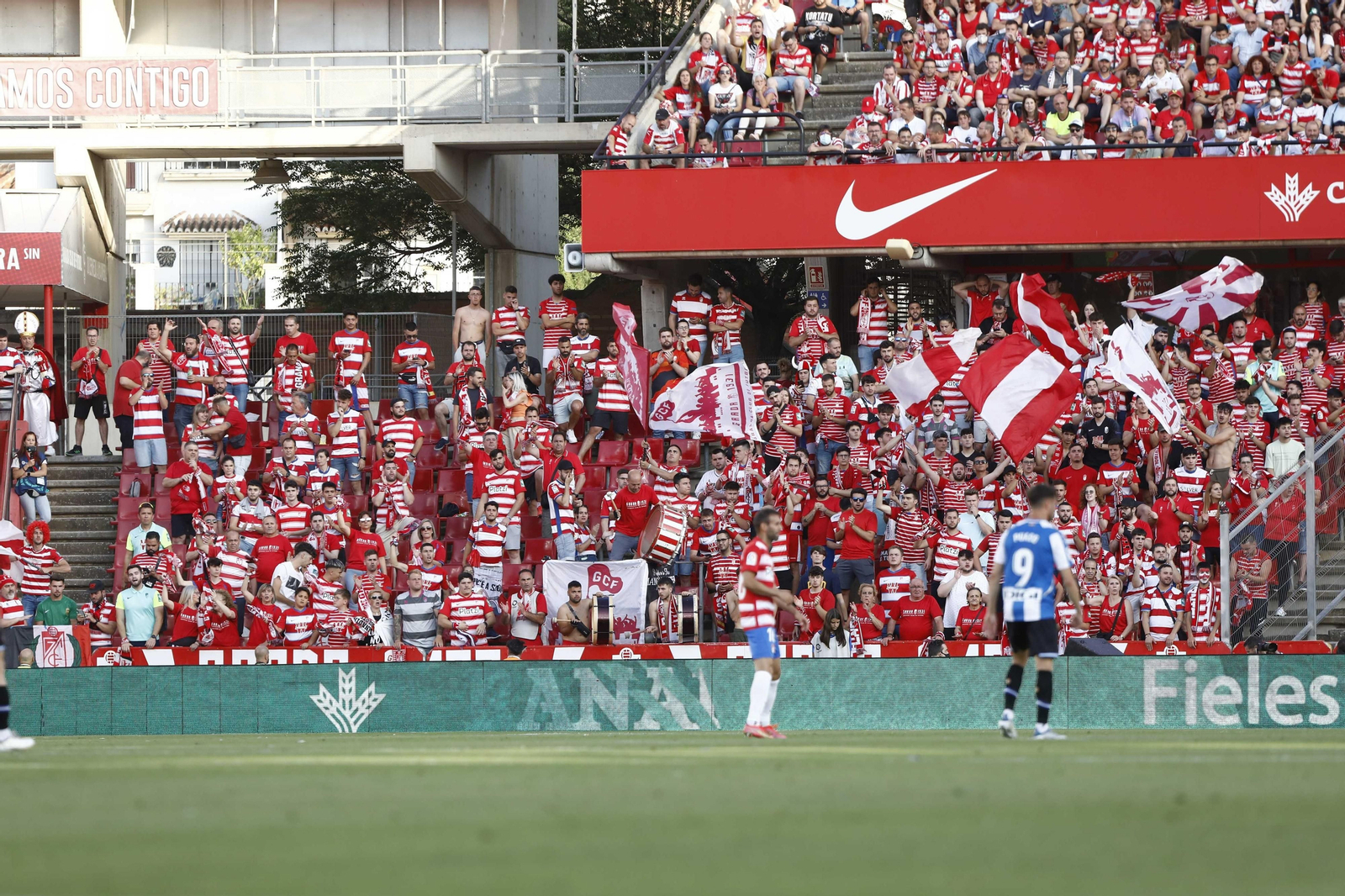 La afición rojiblanca pide explicaciones a los gestores de la entidad.
