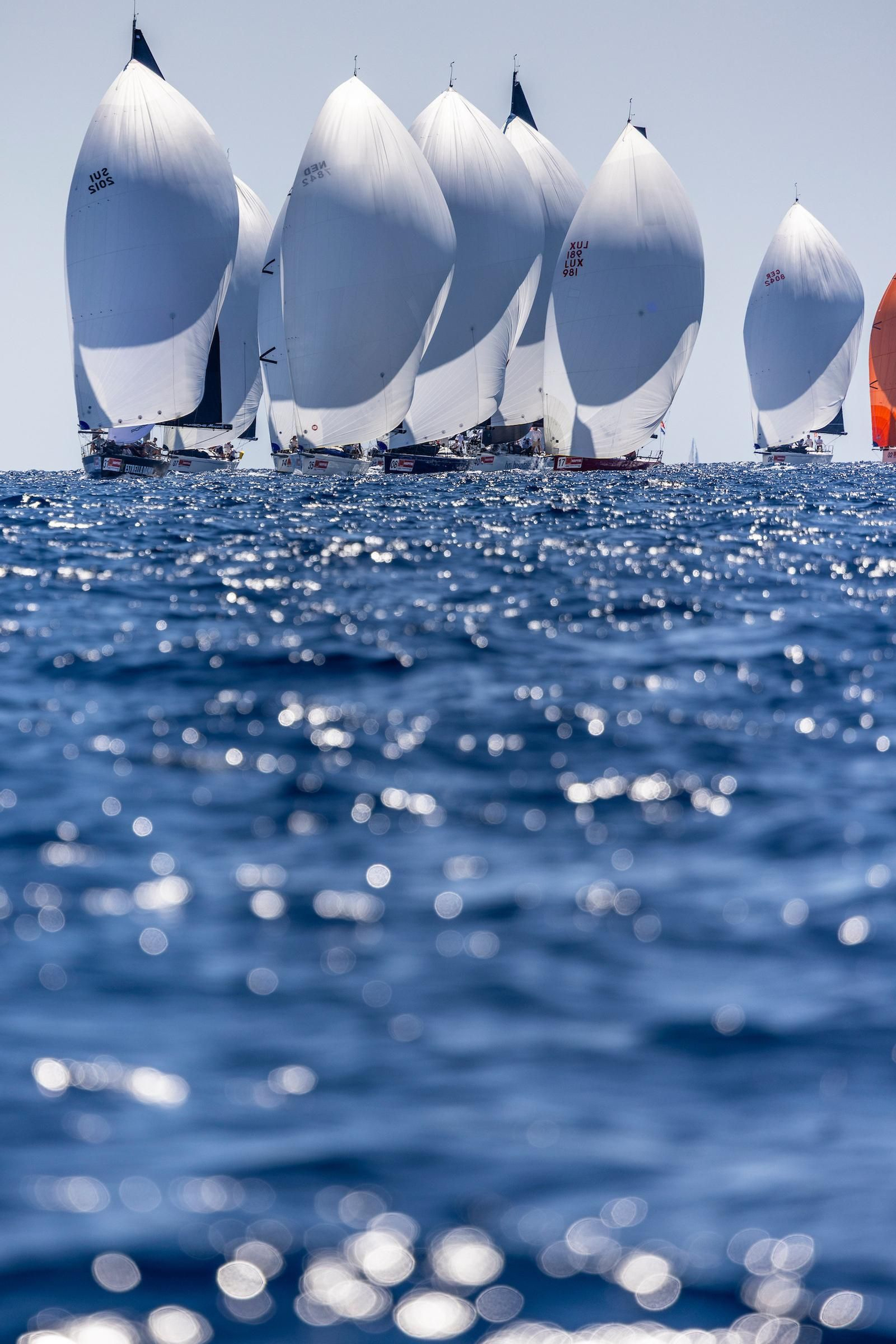 ORC A VELA RACING (41).jpg