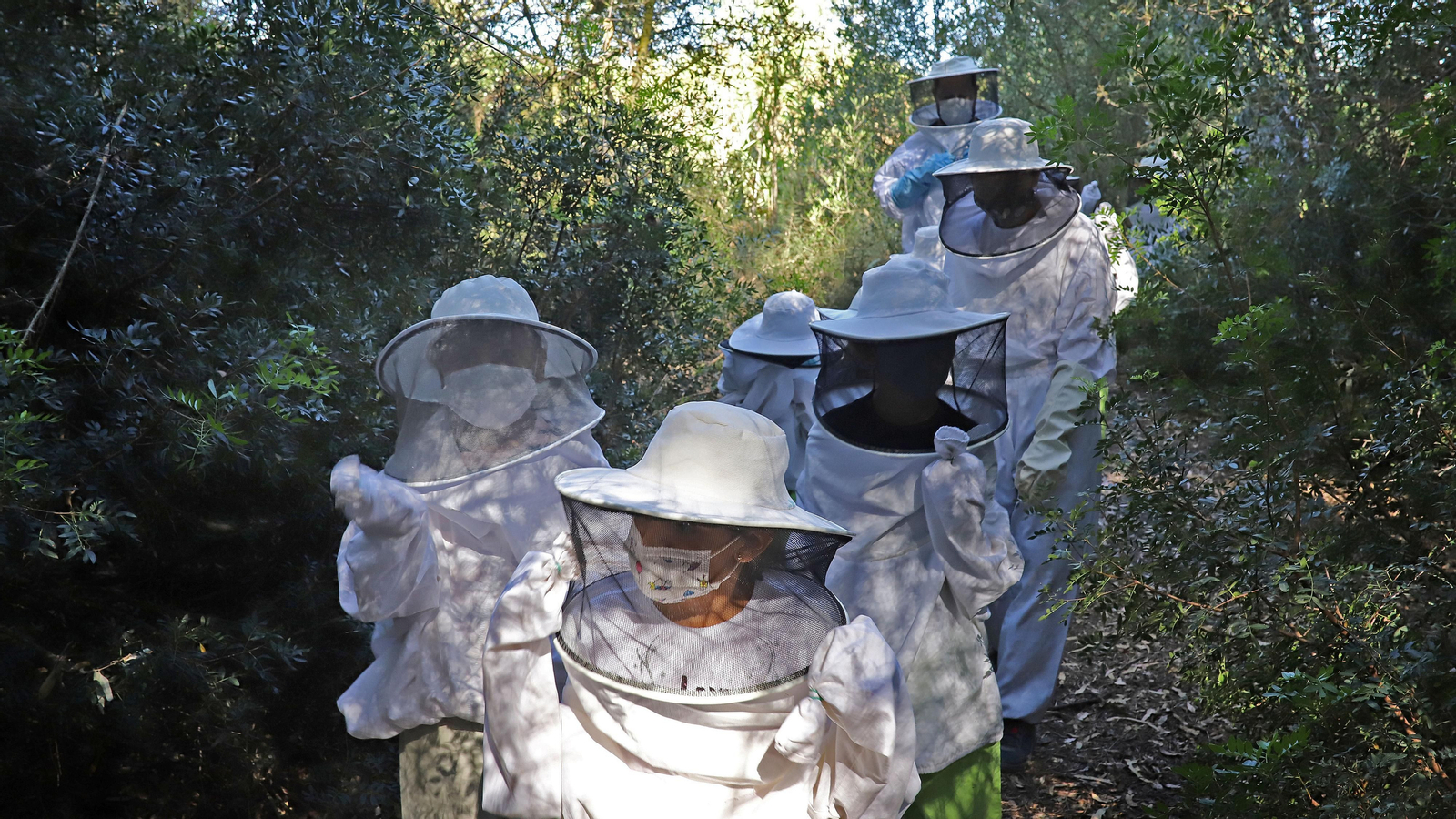 Jerez celebra el Día Mundial de las Abejas Jerez celebra el Día Mundial de las Abejas