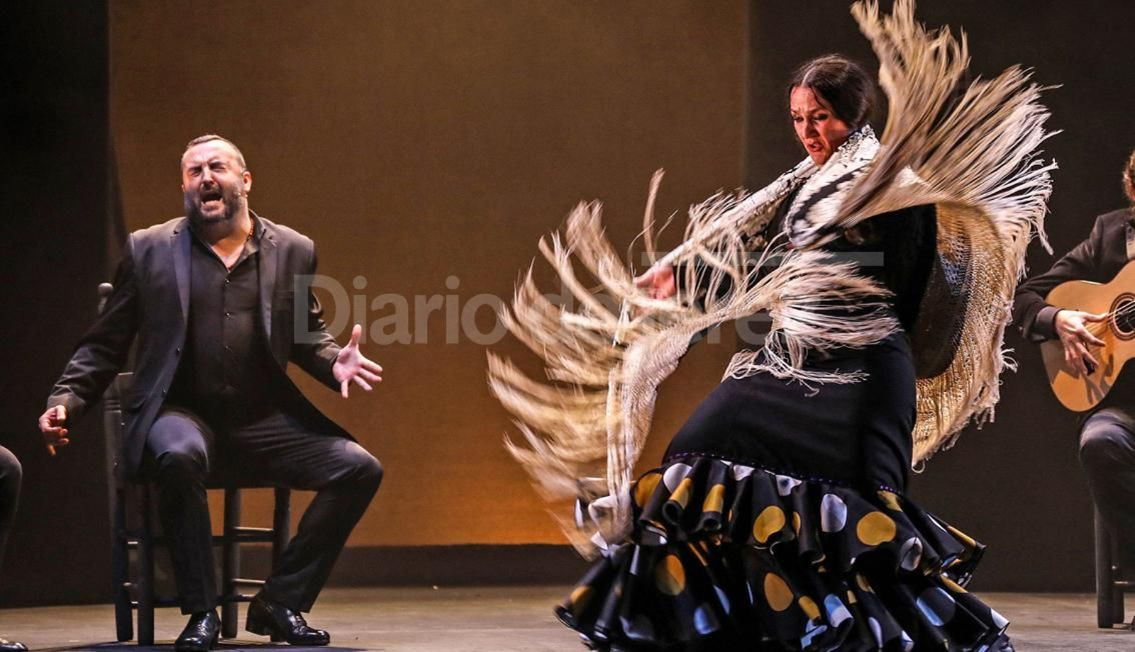 Imágenes del espectáculo 'Recital Flamenco' de Concha Jareño