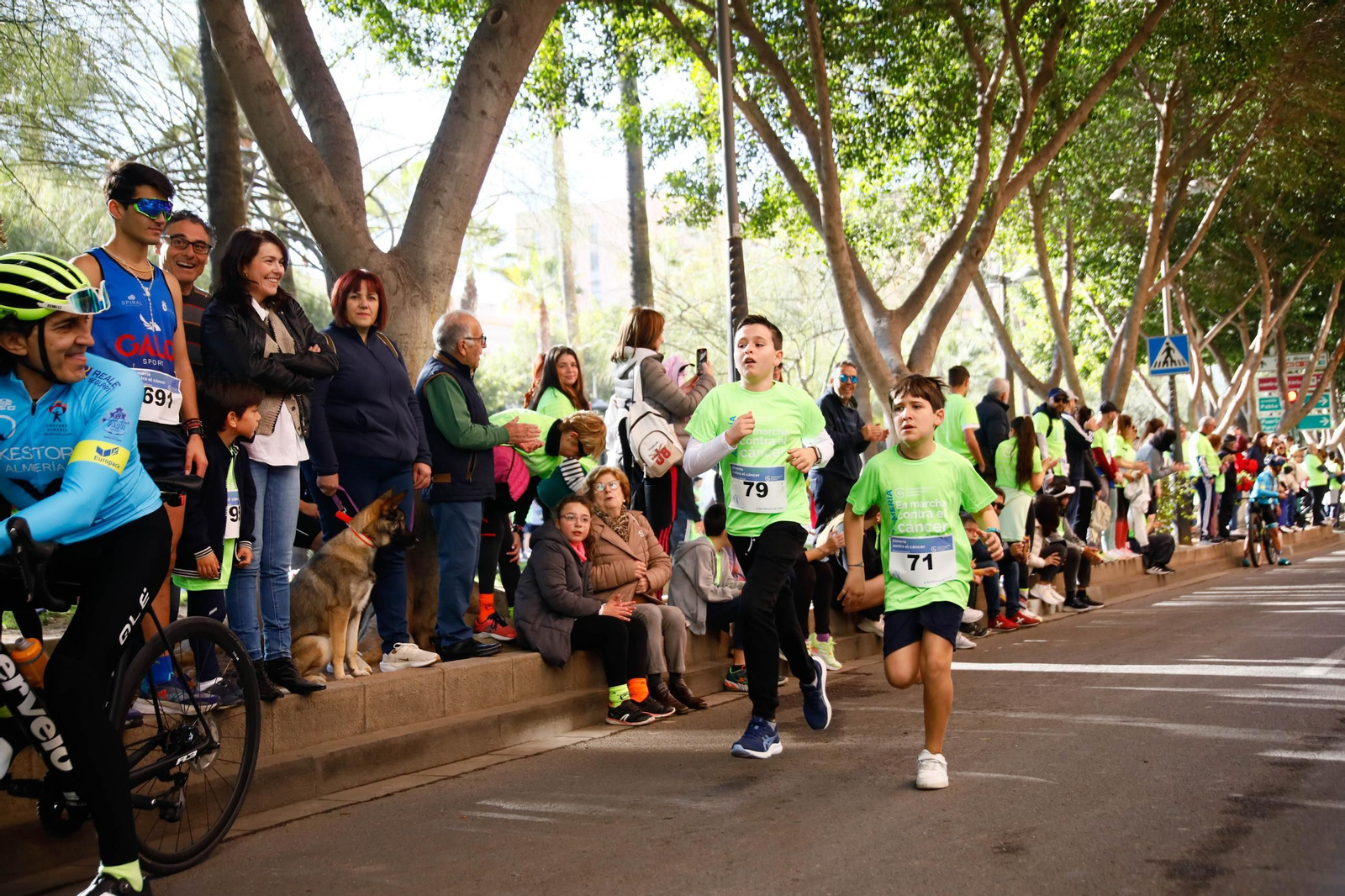 Imágenes de la Carrera contra el Cáncer de Almería