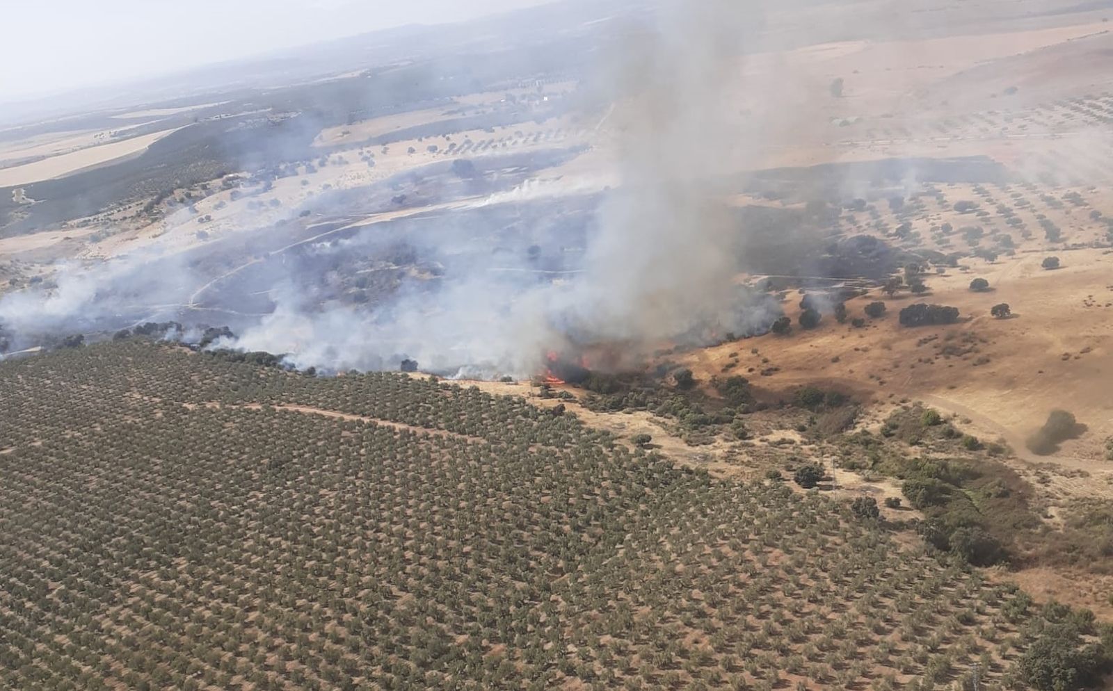 Zona del incendio en Guadalcázar.