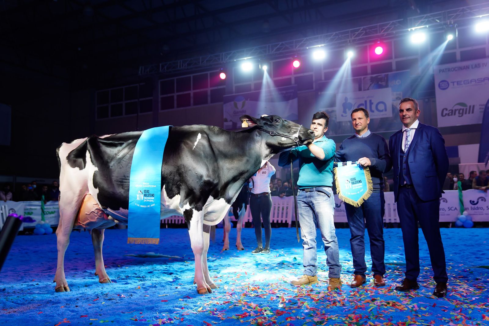 La elección de la Vaca Gran Campeona de Dos Torres, en fotografías