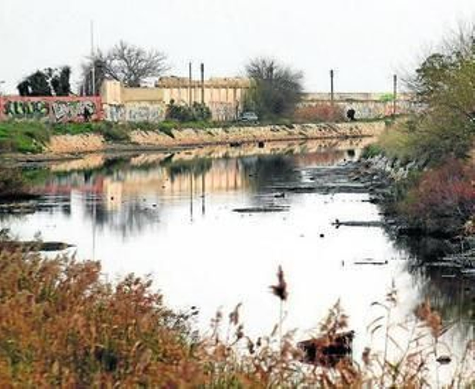 Canales de la desembocadura del Guadalhorce a la altura de Sacaba Beach.