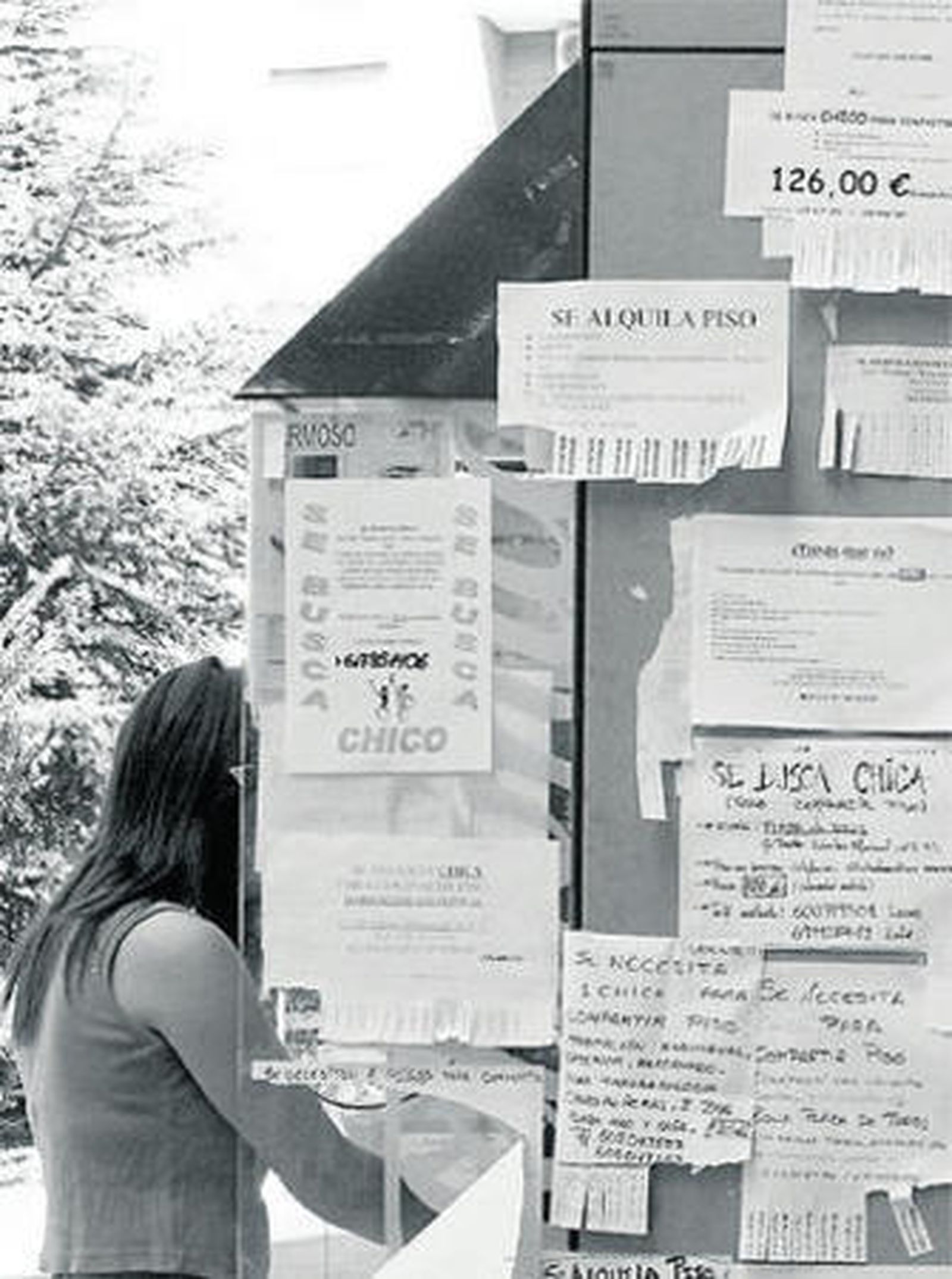 Una cabina de teléfonos, repleta de anuncios que buscan inquilinos para compartir piso.