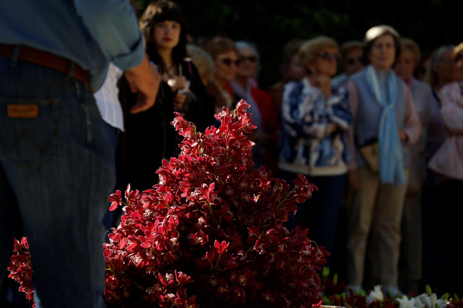 Las últimas horas para visitar las instalaciones de Flora en Córdoba, en imágenes