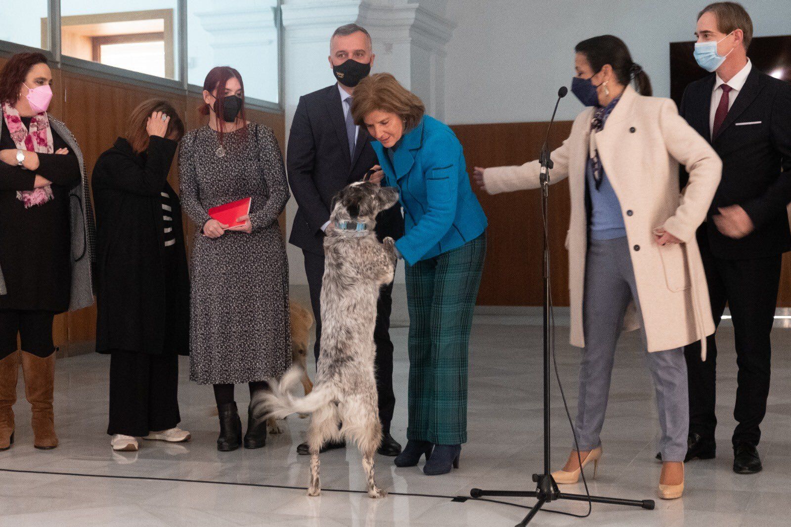 Esperanza Oña interactúa con uno de sus perros en el Parlamento Andaluz.