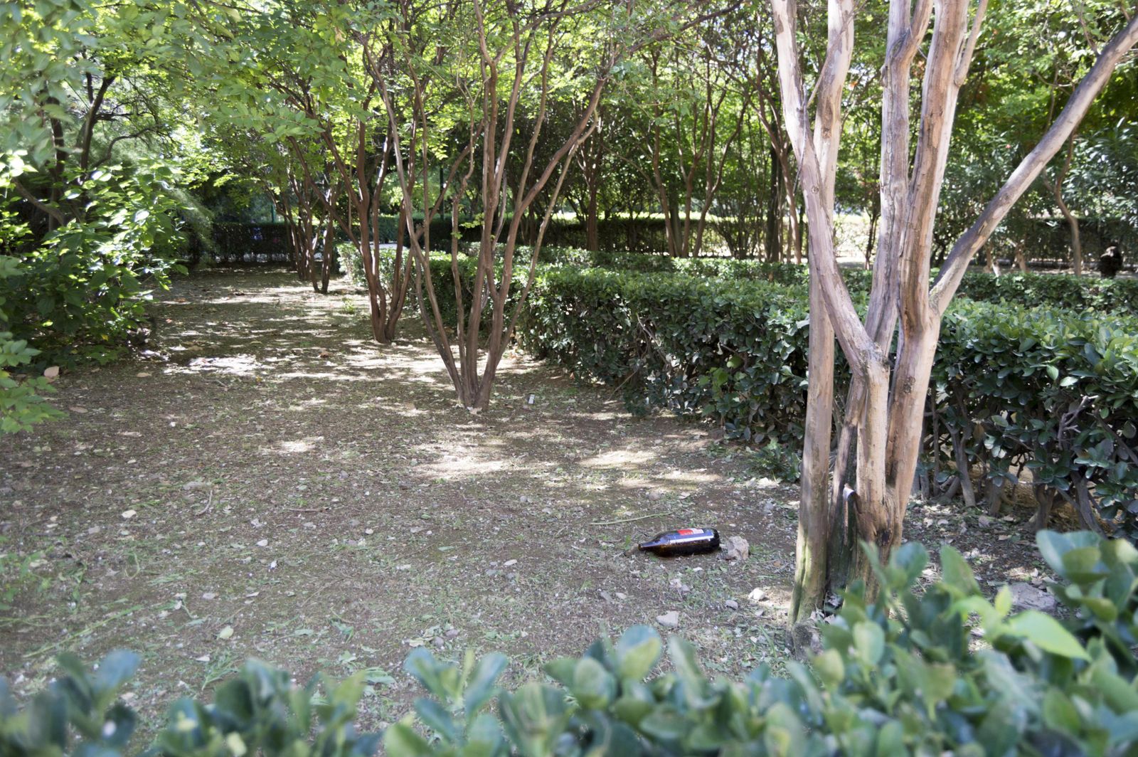 El estado de los Jardines del Valle, en imágenes