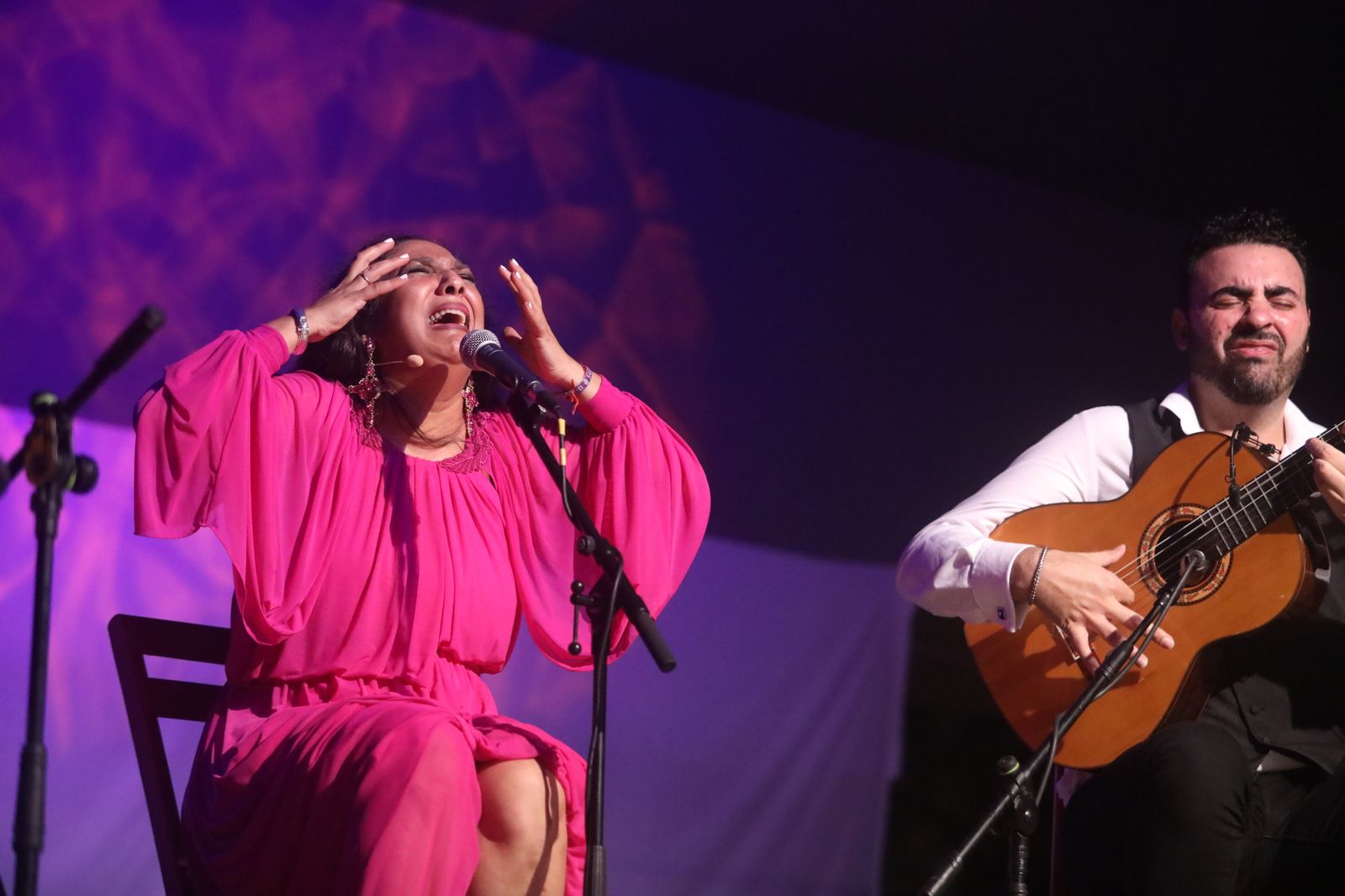 La noche flamenca en el Parque de San Fernando, en imágenes