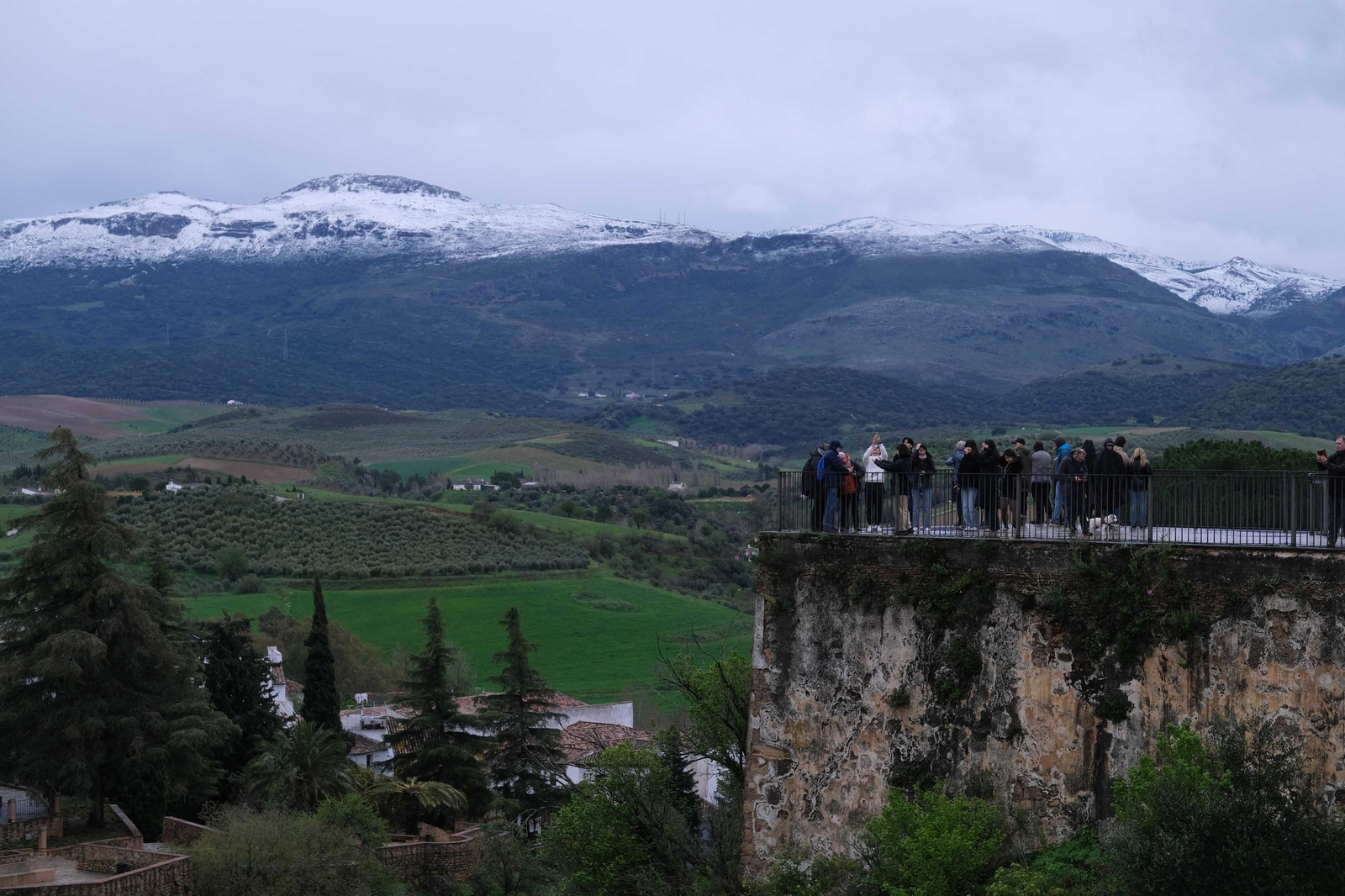La nueva nevada  en el Parque Nacional Sierra de las Nieves, en fotos