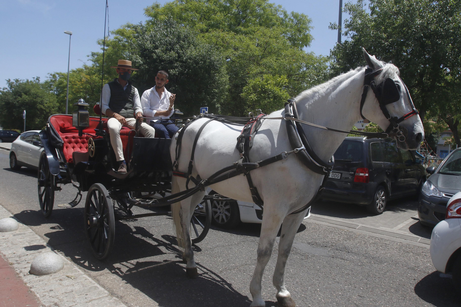Las imágenes de la Feria de Córdoba en María la Judía