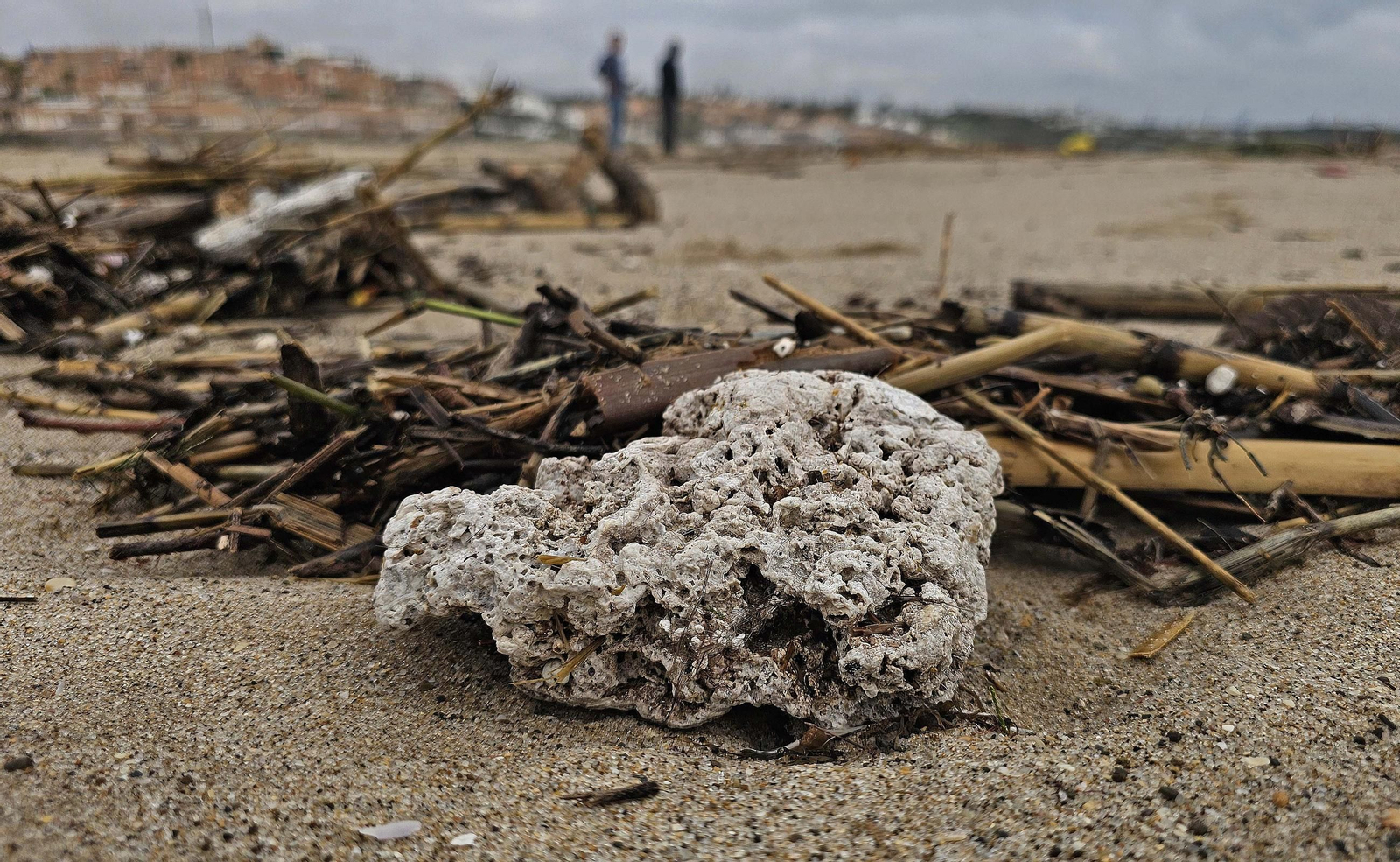 Fotos de la limpieza de las bolas blancas en la playa de Getares en Algeciras