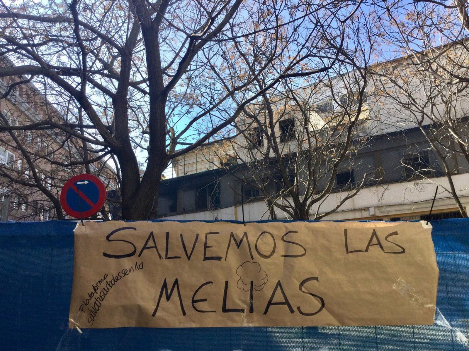 Pancartas de protesta en la zona donde están las melias amenazadas de tala.