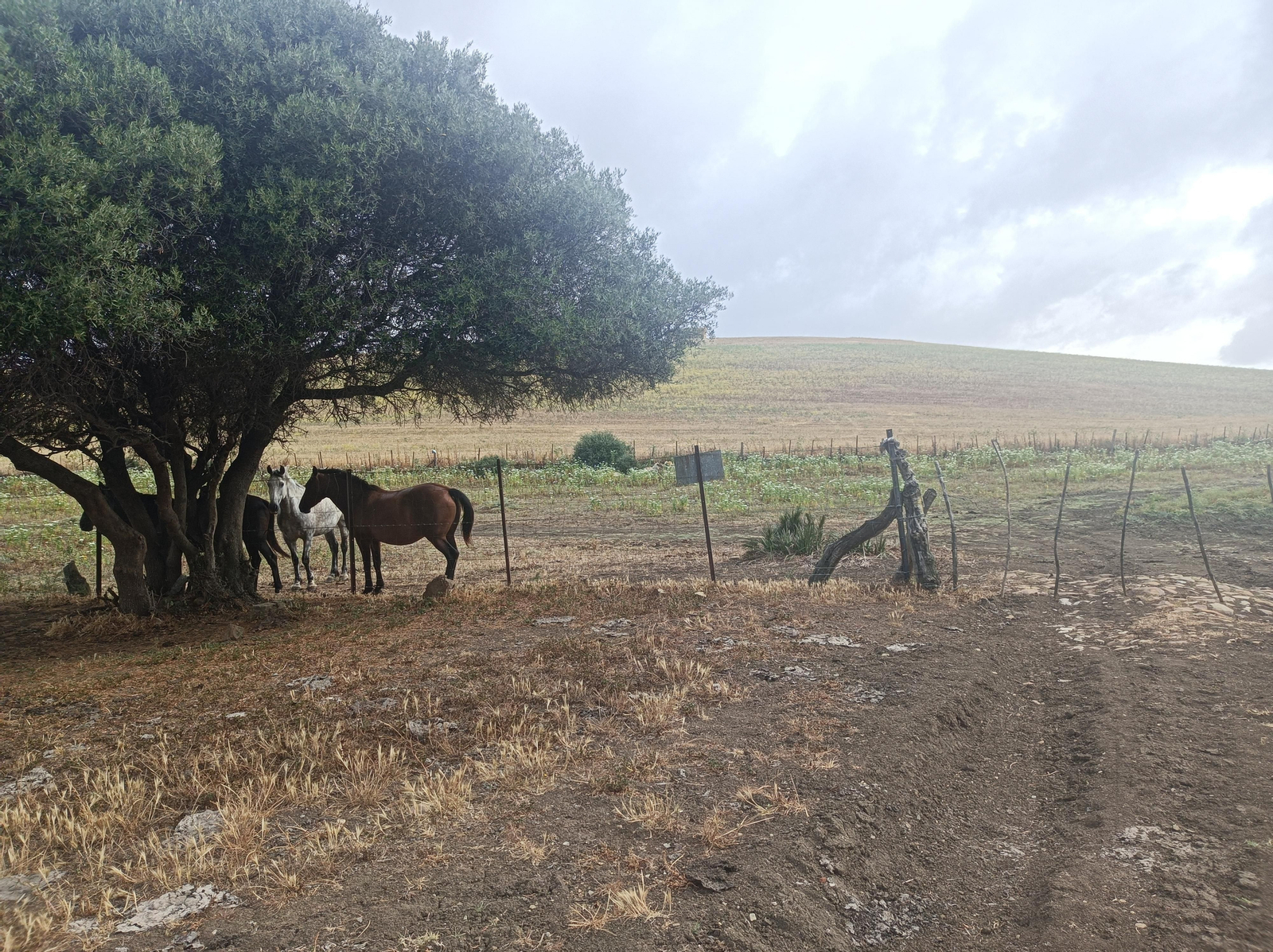 Tenemos que abrir la portuela y doblar a la izquierda.
