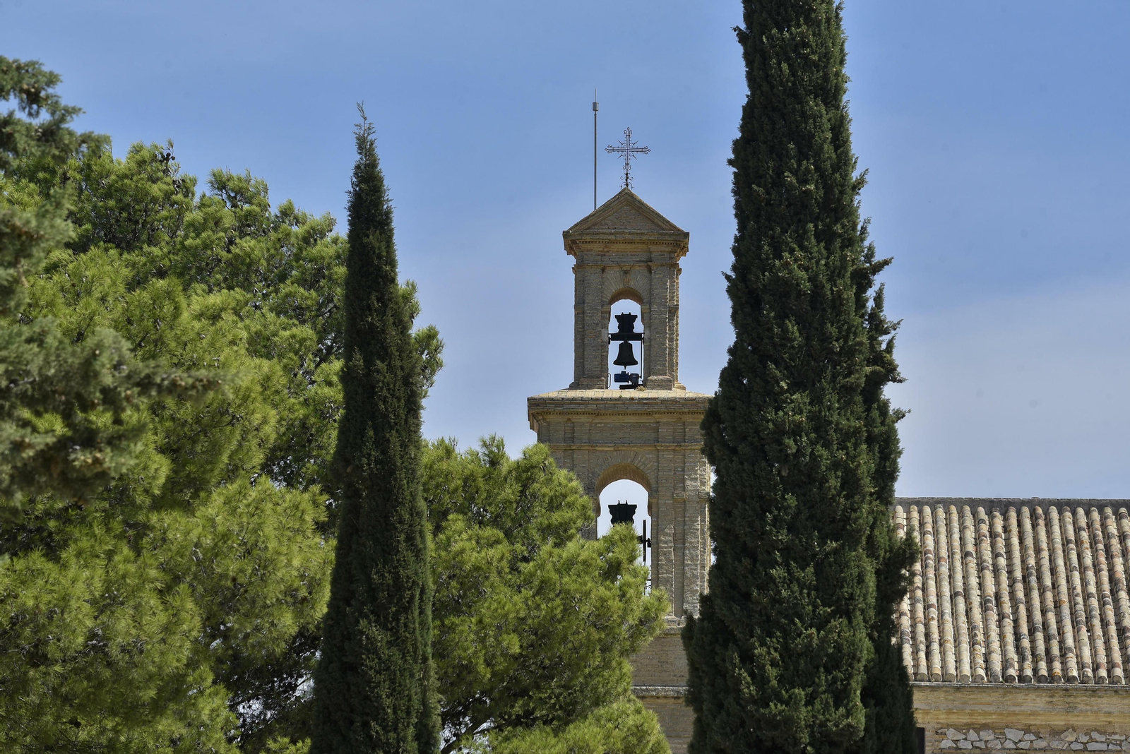 Estepa, en imágenes