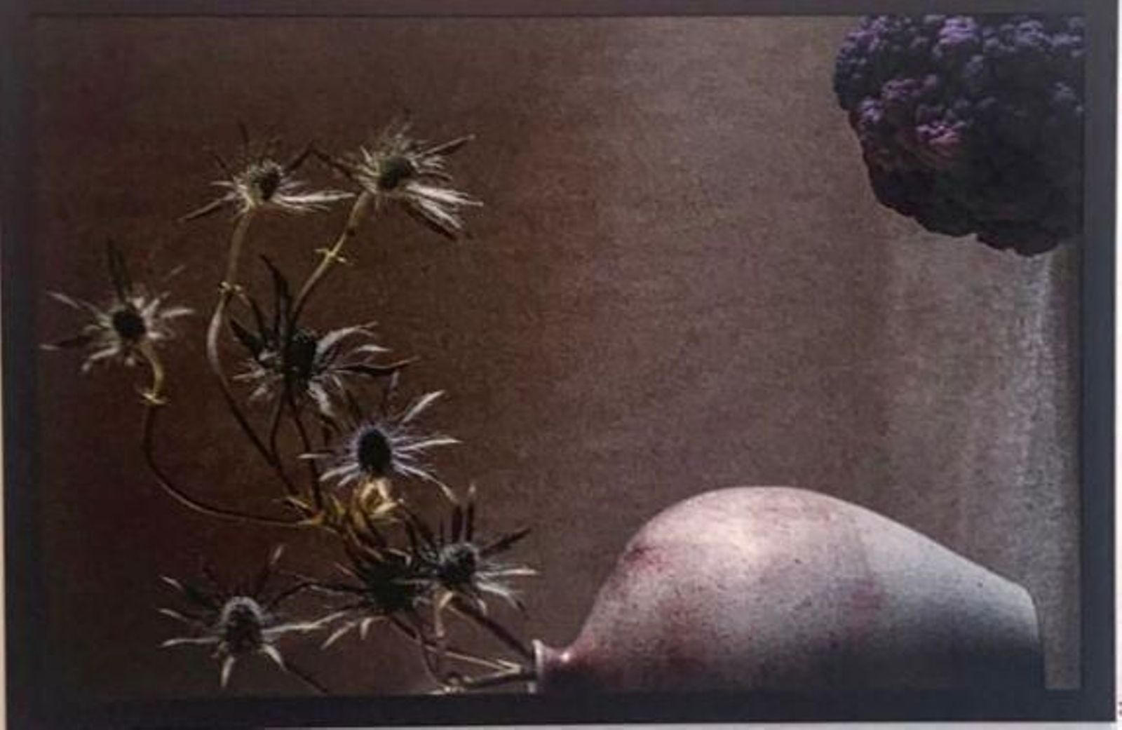 Una de las trece fotografías artística de Anuca Aísa