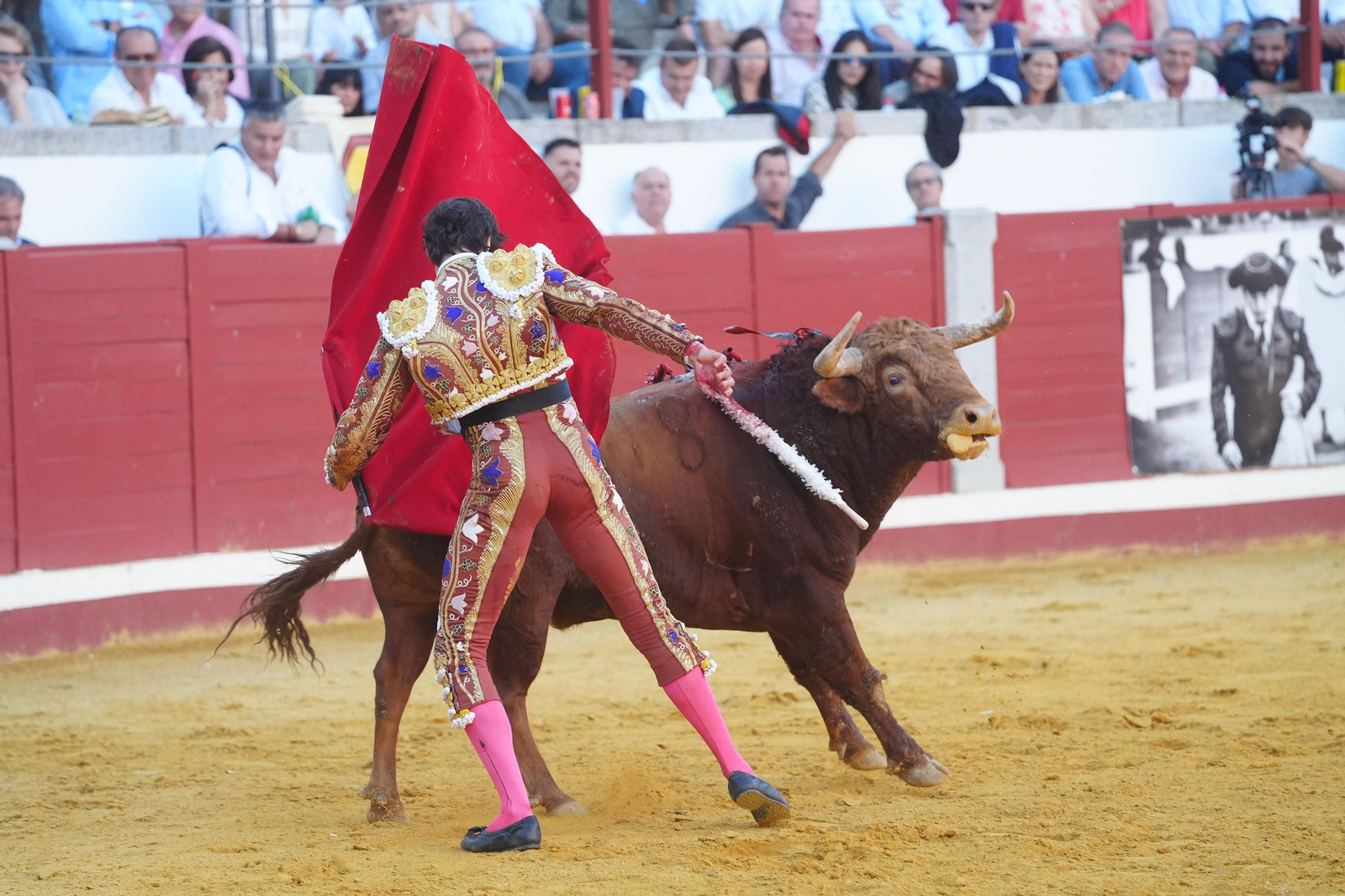 El triunfo de Rocío Romero, Manzanares y Roca Rey en la plaza de toros Pozoblanco, en imágenes