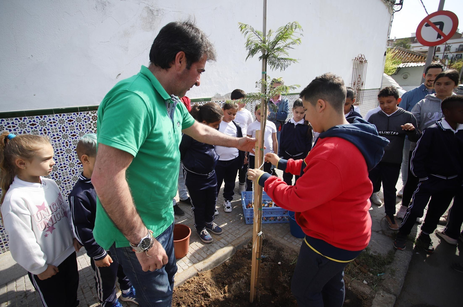 Imágenes la plantación de árboles en la Barriada de la Navidad por alumnos del Colegio Virgen de Belén