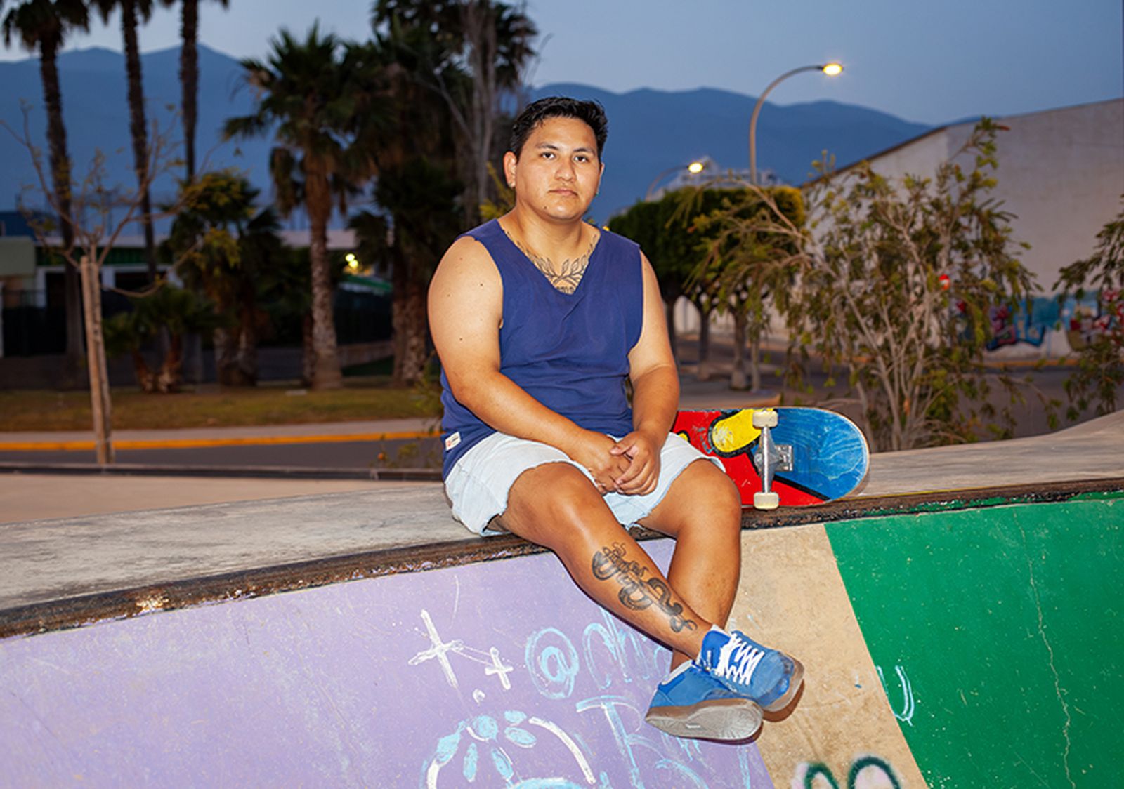 Angelo David Borda, skater peruano