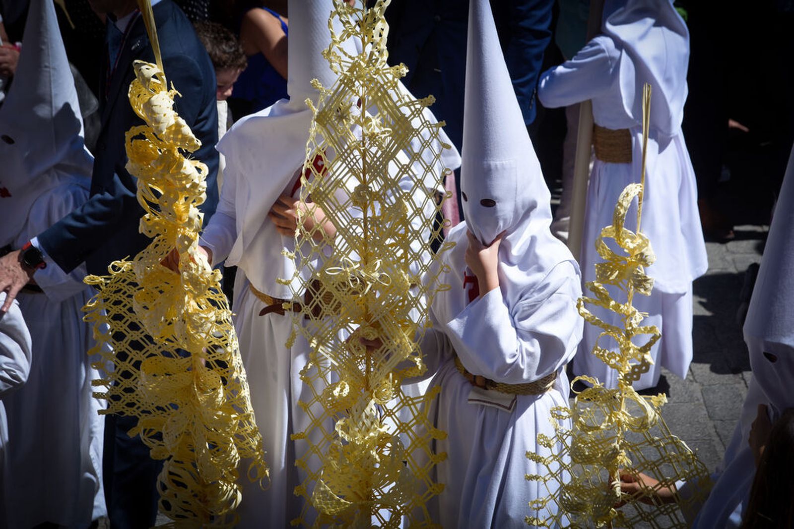 Un nazareno de la Borriquita sostiene una palma trenzada en la mano