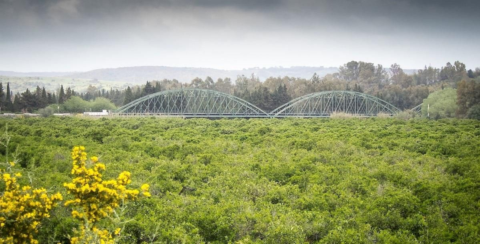 Imagen actual del puente sobre el río Guadiaro, con idéntico horizonte y vegetación similar.
