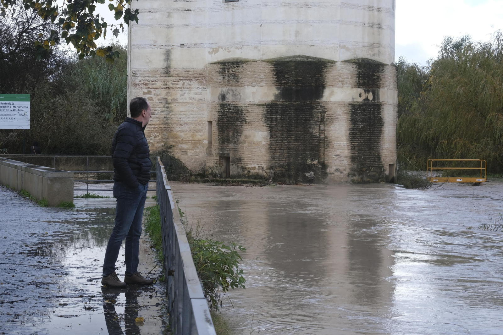 La crecida del río Guadalquivir tras las lluvias en Córdoba, en imágenes
