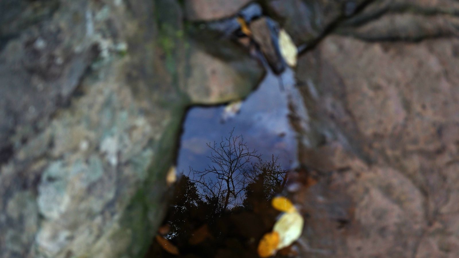 Las mejores fotos del sendero del Río de la Miel
