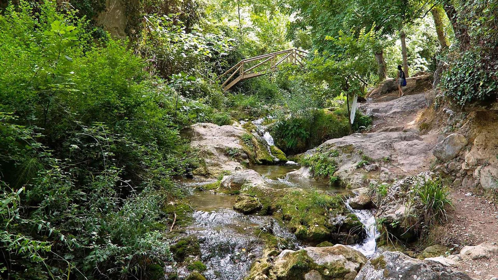 Ruta senderista por el río Cerezuelo: una auténtica maravilla inmersa en la naturaleza. Ruta senderista por el río Cerezuelo: una auténtica maravilla inmersa en la naturaleza.