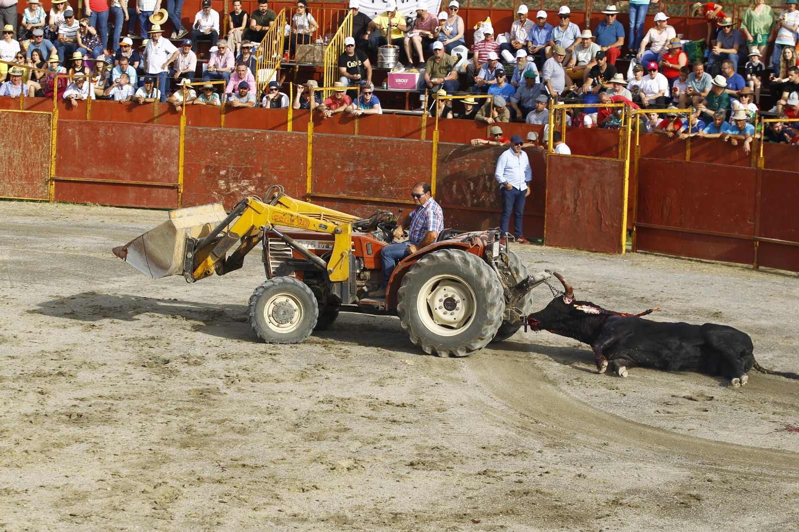 Imágenes de la corrida de toros en las Fiestas de Abrucena.