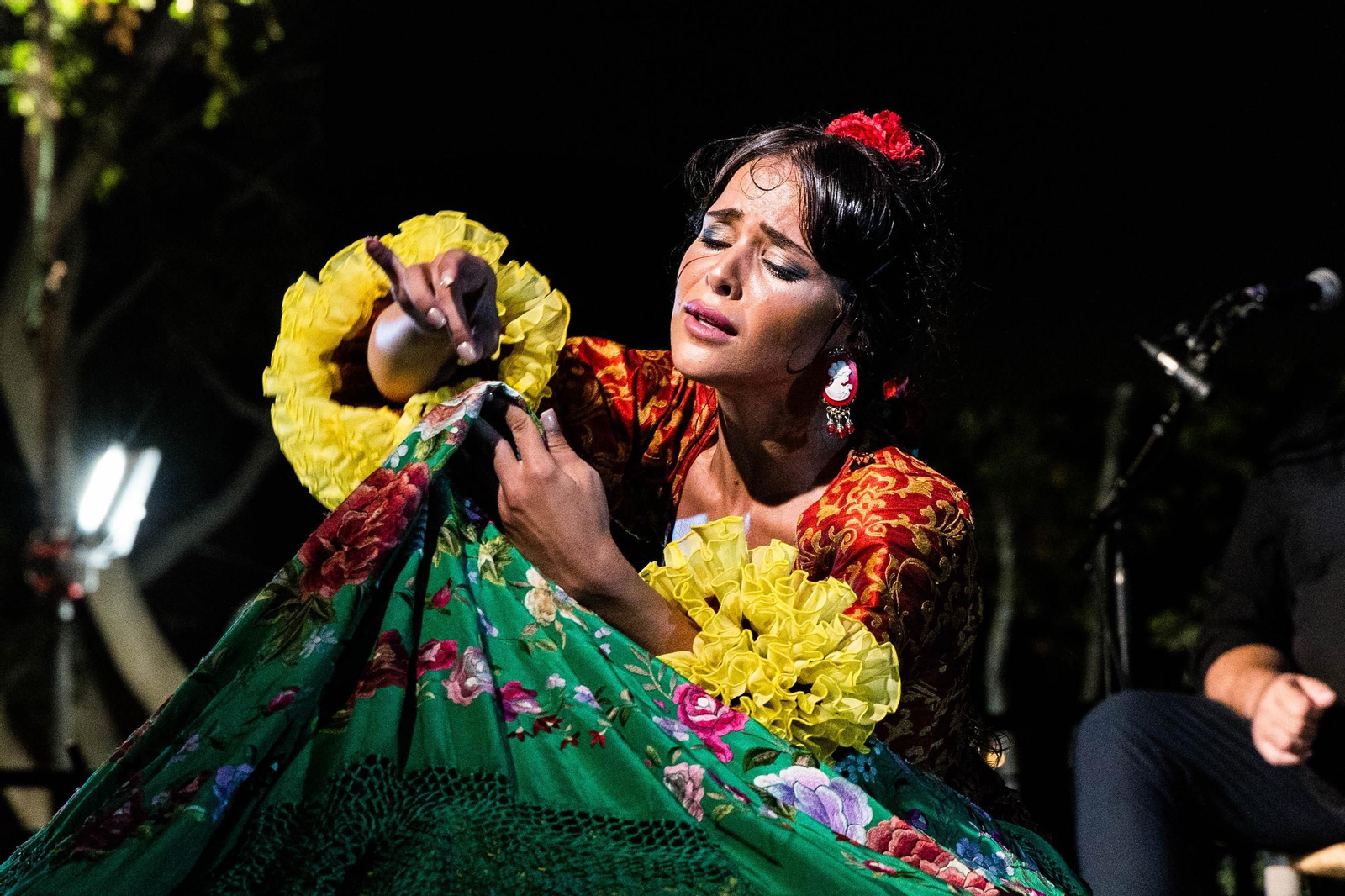 La Isla Ciudad Flamenca: Noche de baile en el Parque de San Fernando